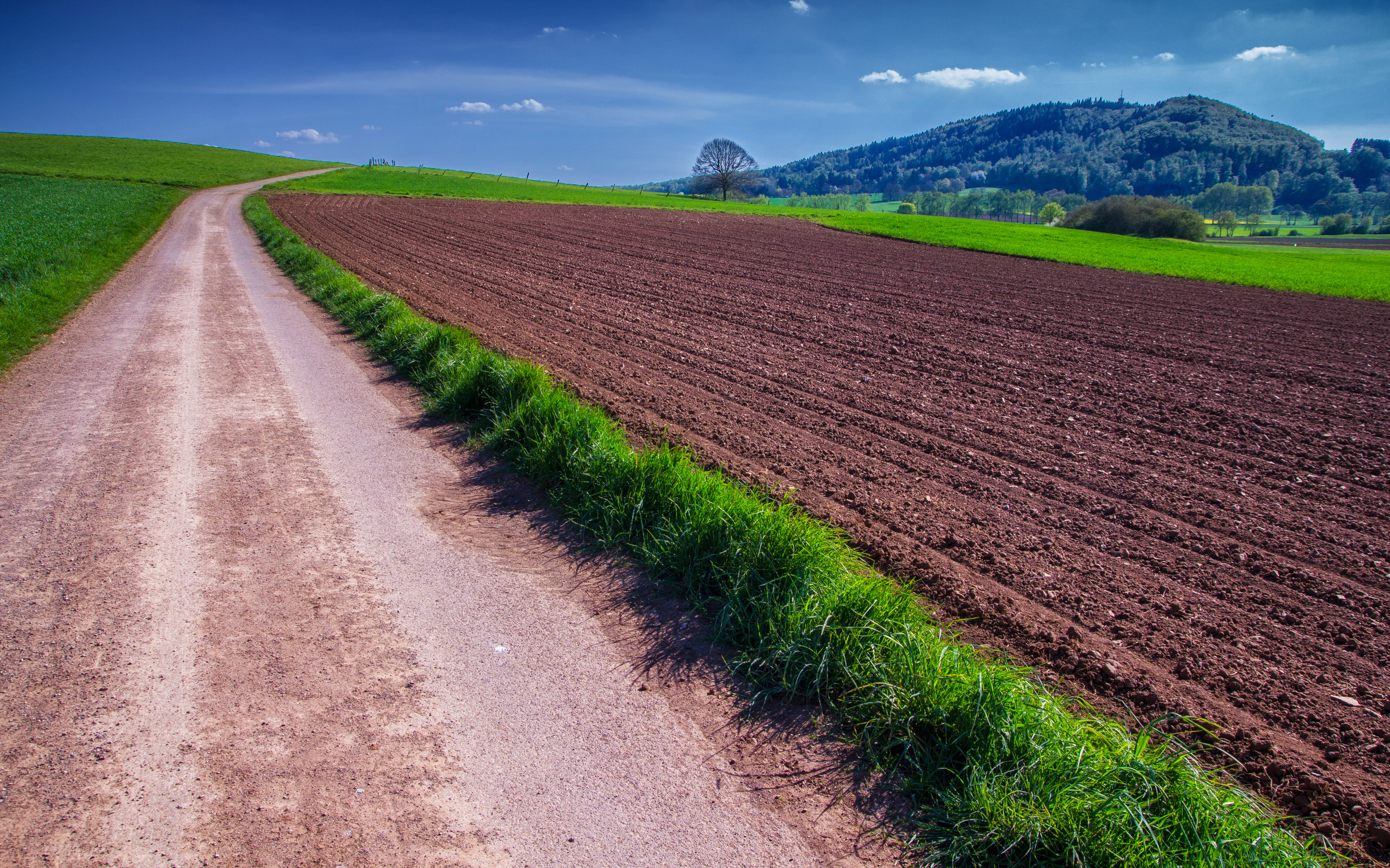 Field roads. Дорога с газоном. Газон у дороги. Газон автодорога. Дорога с травой.