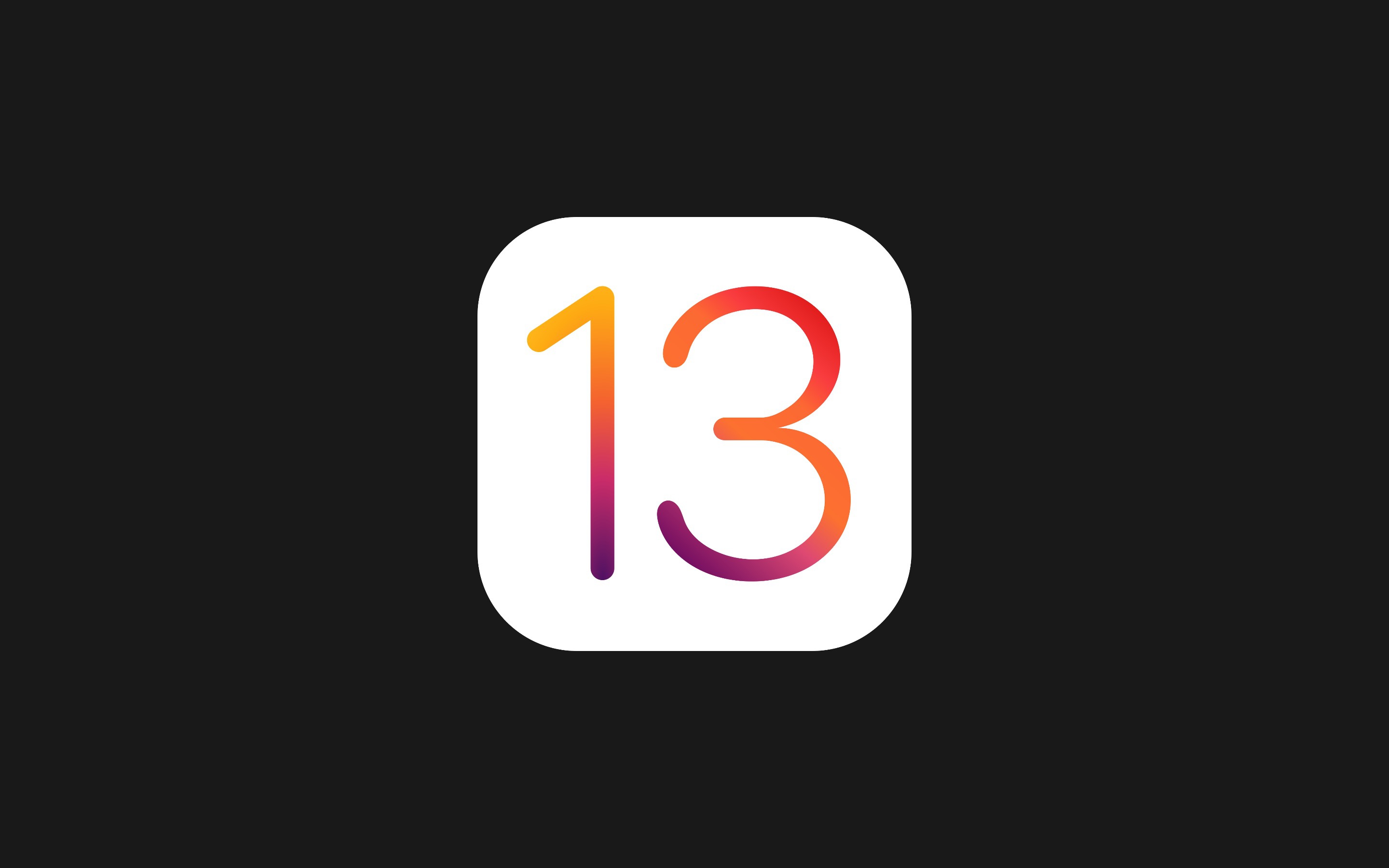 Icon 13
