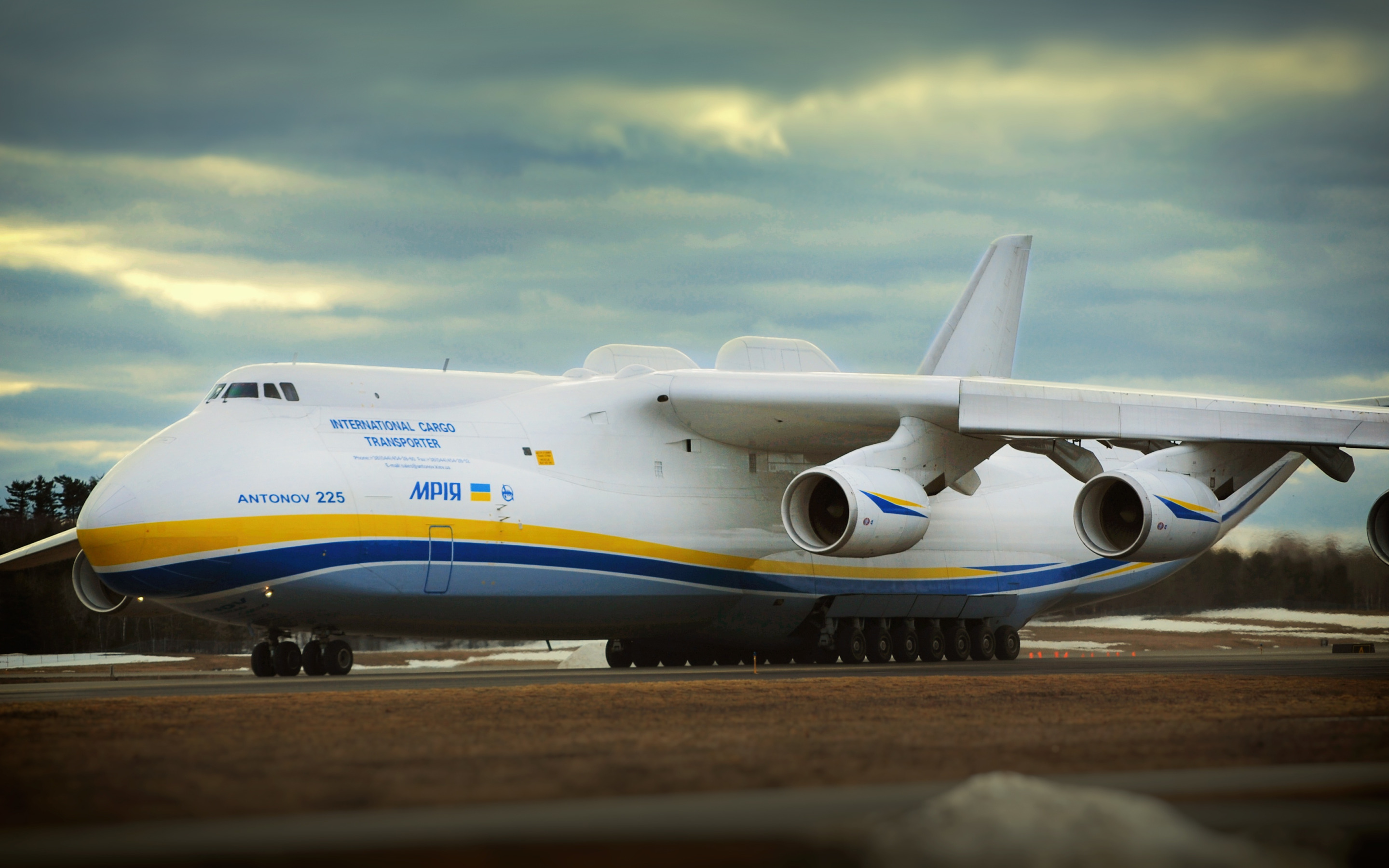 Download wallpaper The plane, Wings, Engines, Dream, Mriya, The an-225 ...