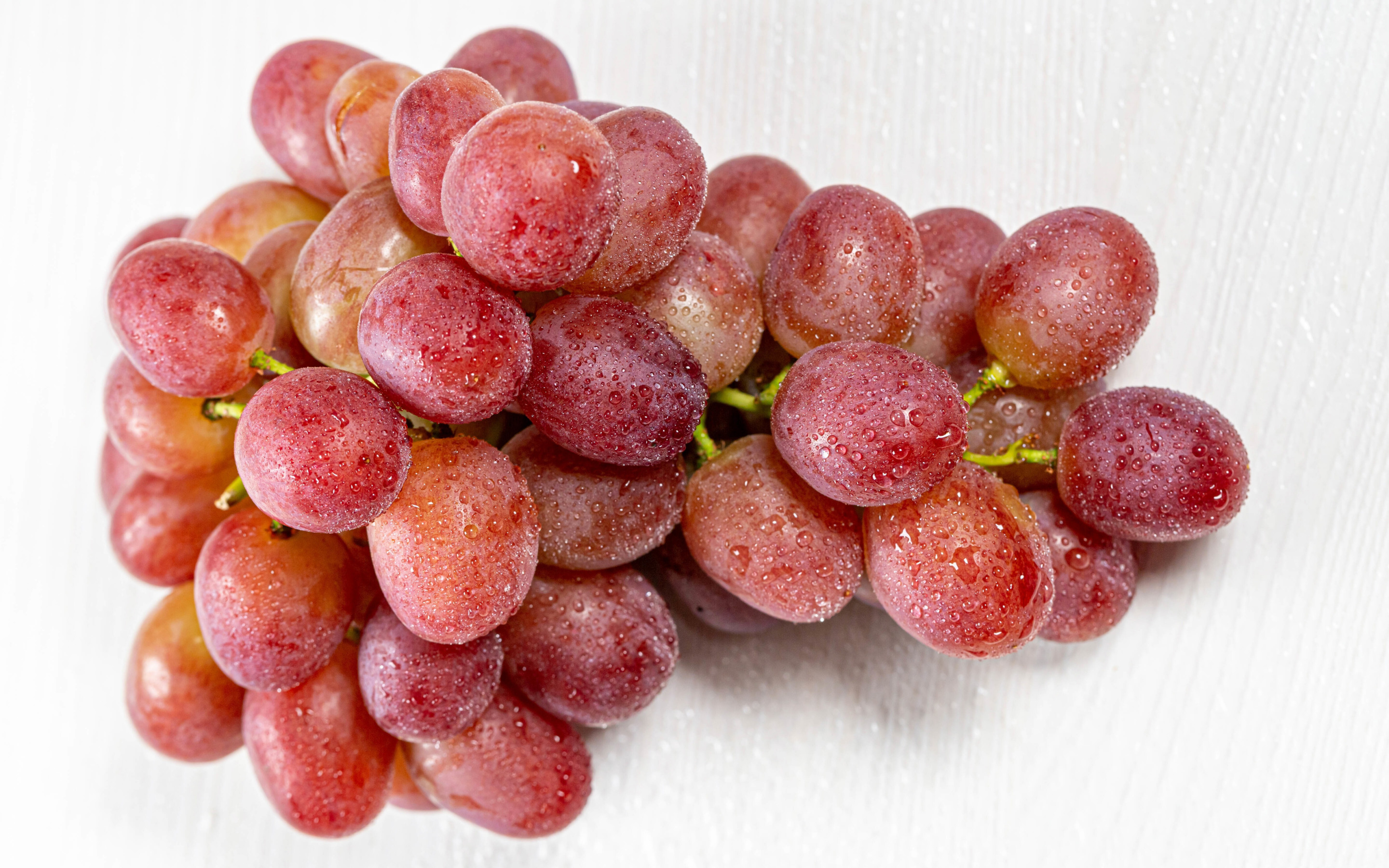 Grape fresher. Виноград тайфи. виноград fresh grapes. виноград ред глоб. виноград тайфи красный.