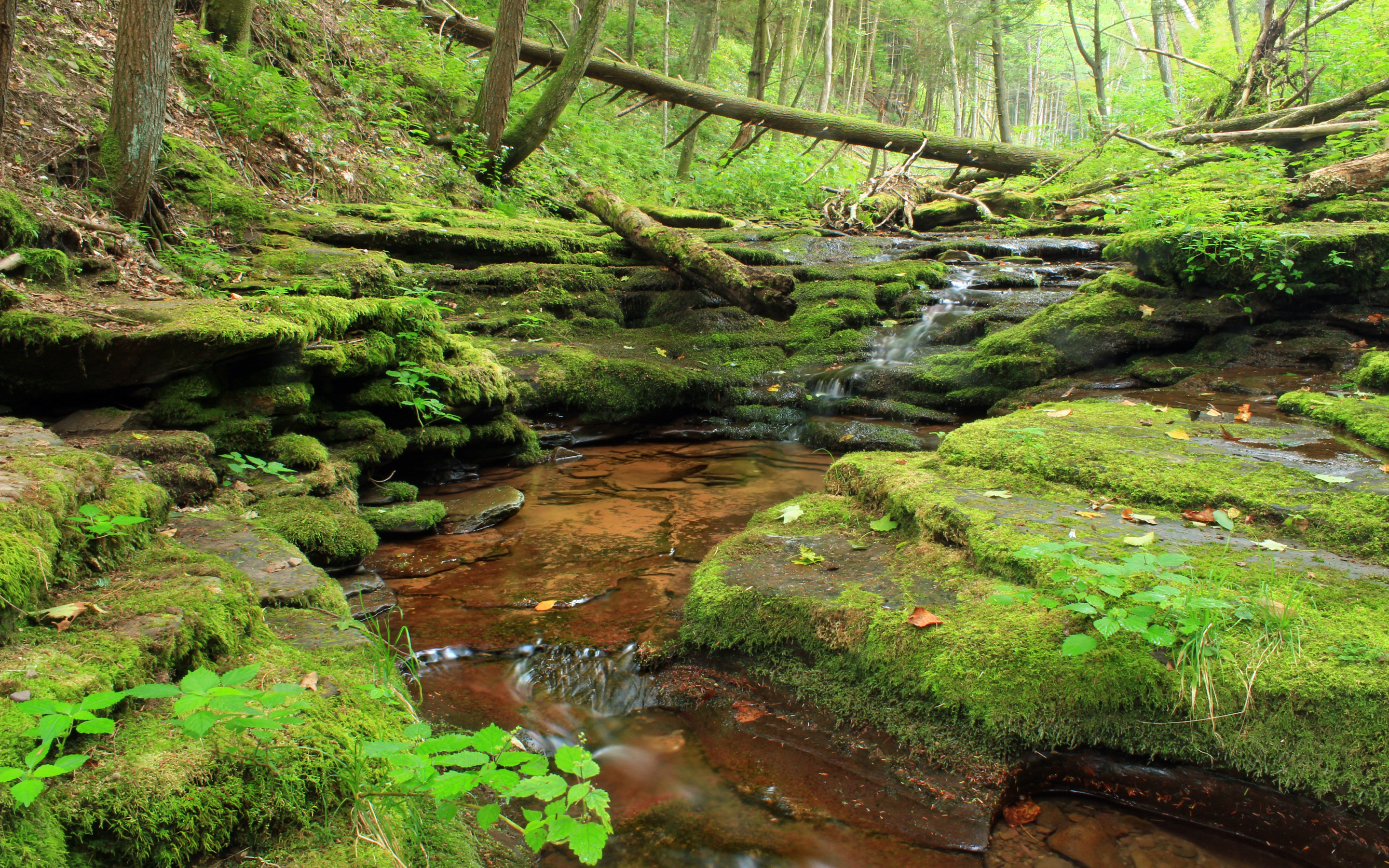Stream path stream