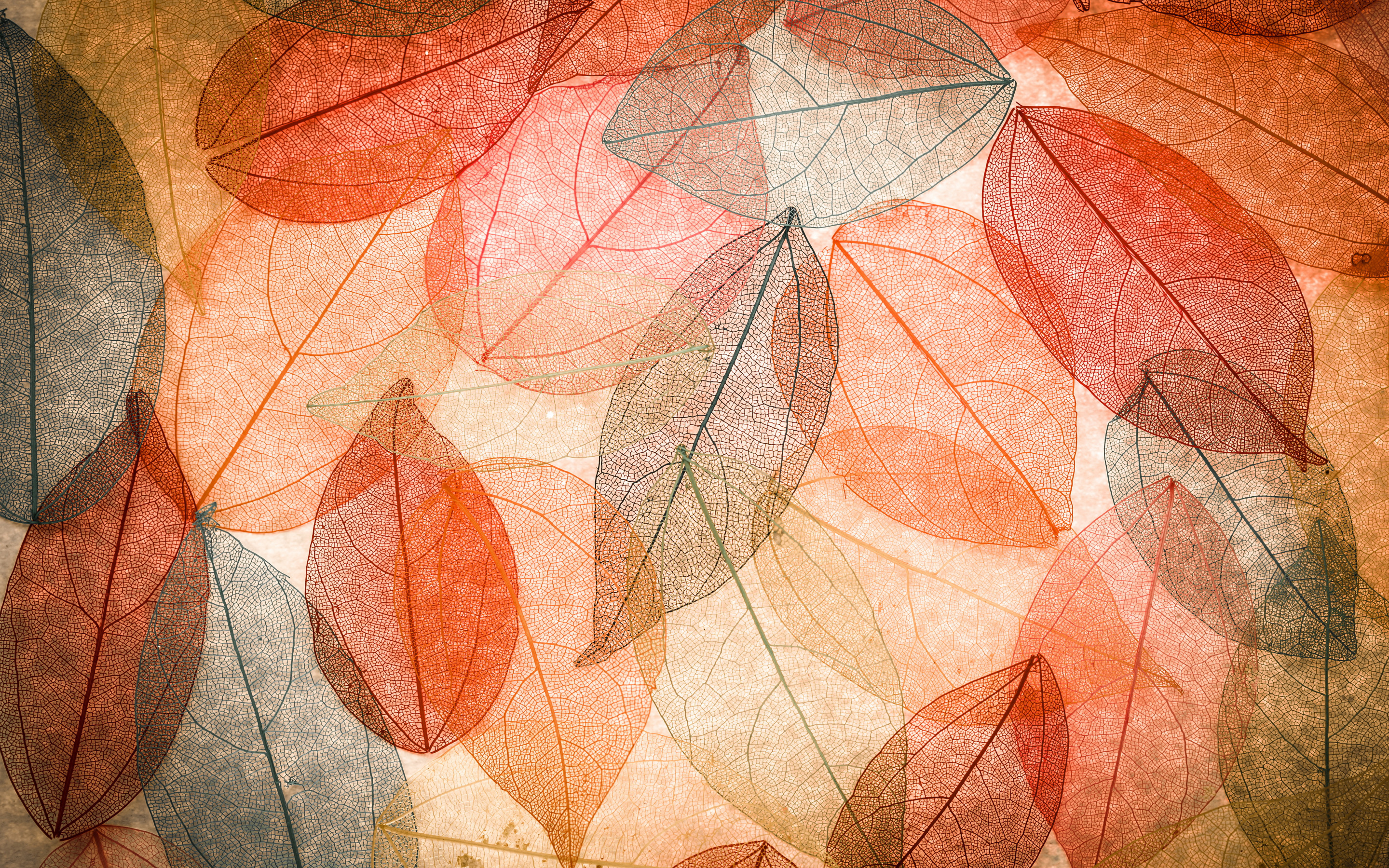 Лист арт. Осенний фон. Фон для коллажа. Осенние листья фон. Осень абстракция.
