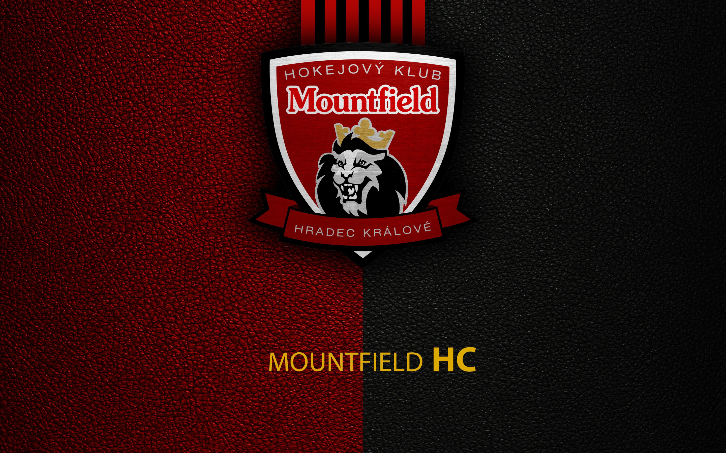 Download wallpaper wallpaper, sport, logo, hockey, Mountfield, section ...