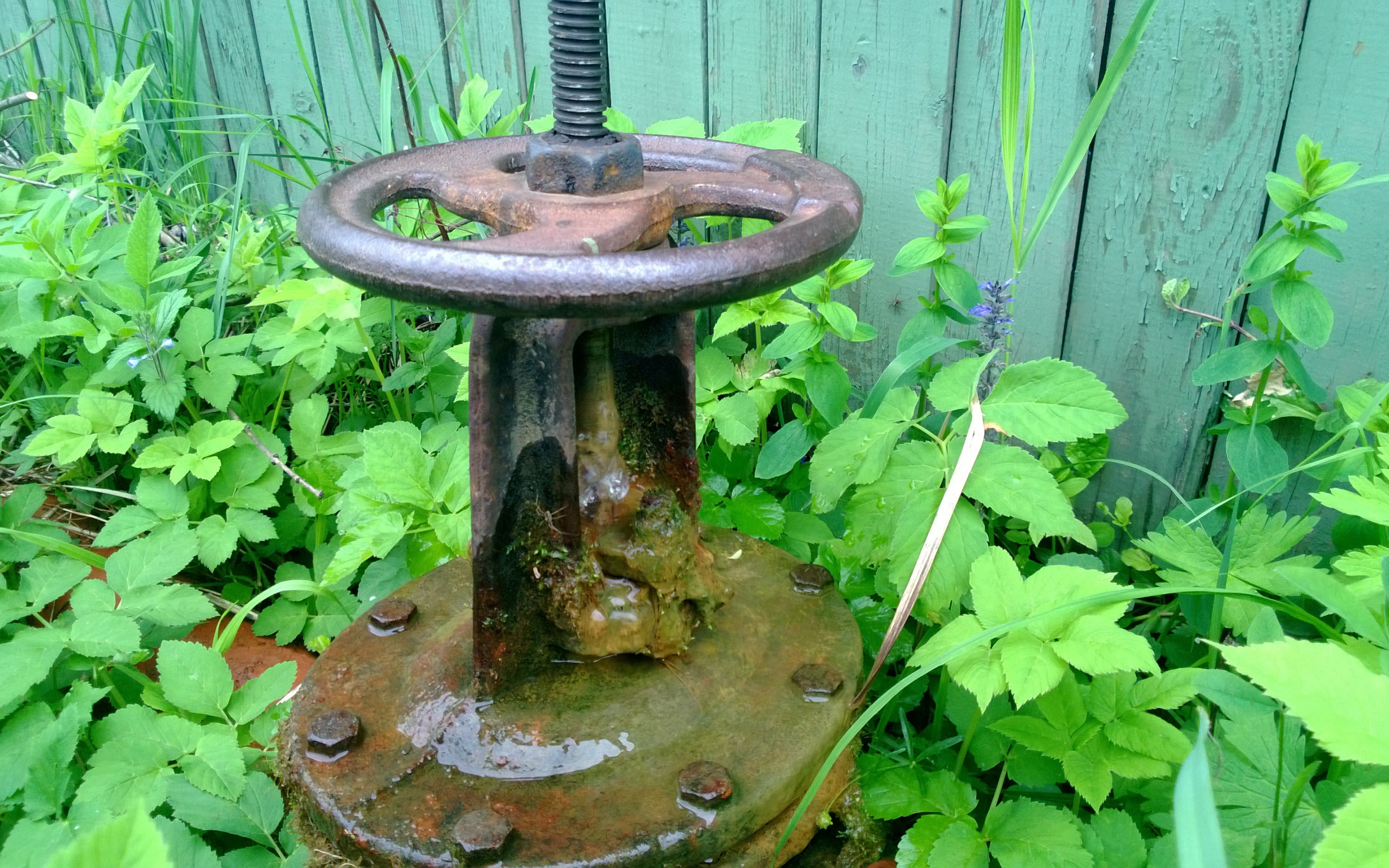 Download wallpaper grass, the fence, Gate valve, The valve, oil seals