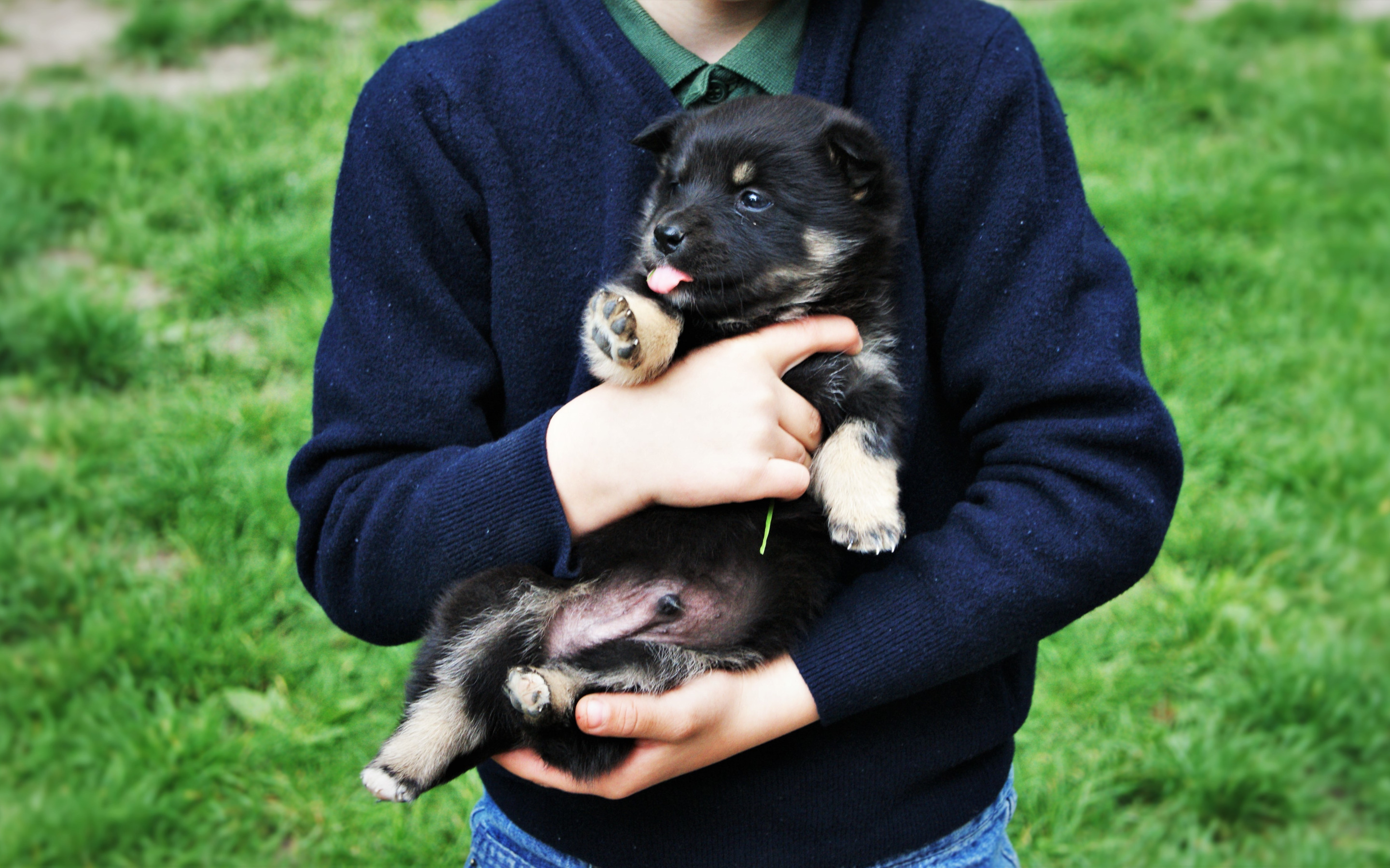 Фото собак мальчиков. Щенок мальчик. Встреча Ненецкого мальчика и собаки. Чеченский мальчик с собакой. Фотография маленького мальчика с щенком.