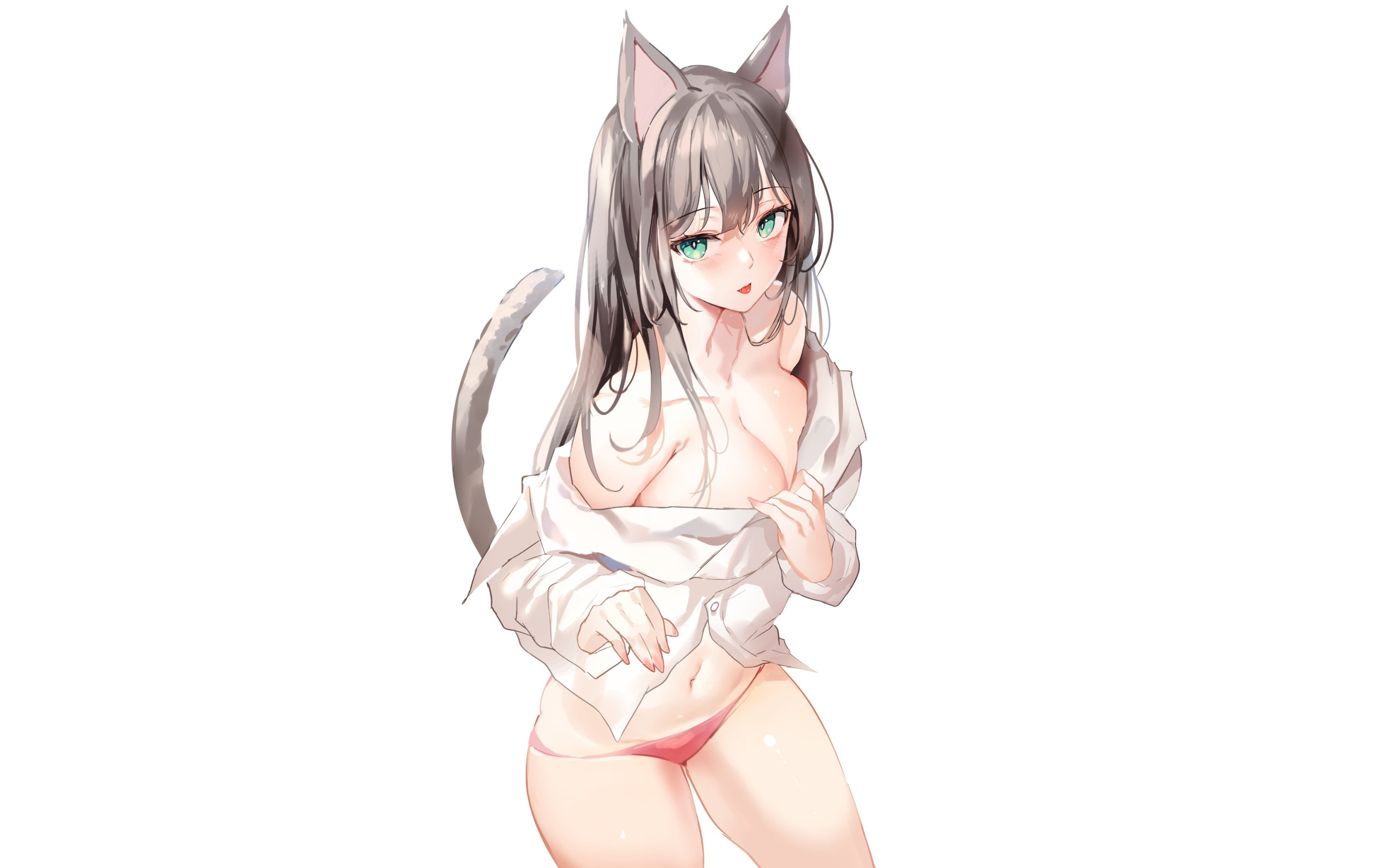 Download wallpaper girl, sexy, cleavage, Anime, pussy, boobs, pretty,  kitty, section seinen in resolution 2880x1800