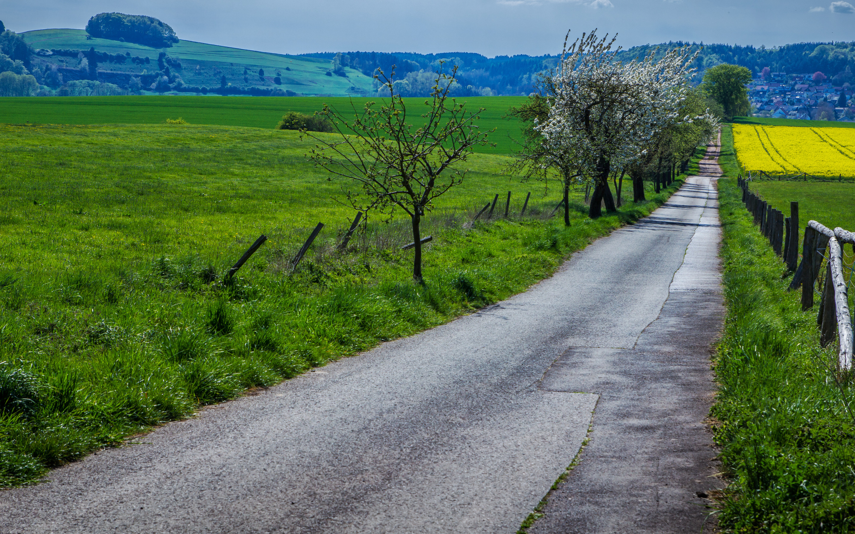 Field roads. Весенняя дорога. Весне дорогу!. Дорога в цветочном поле.