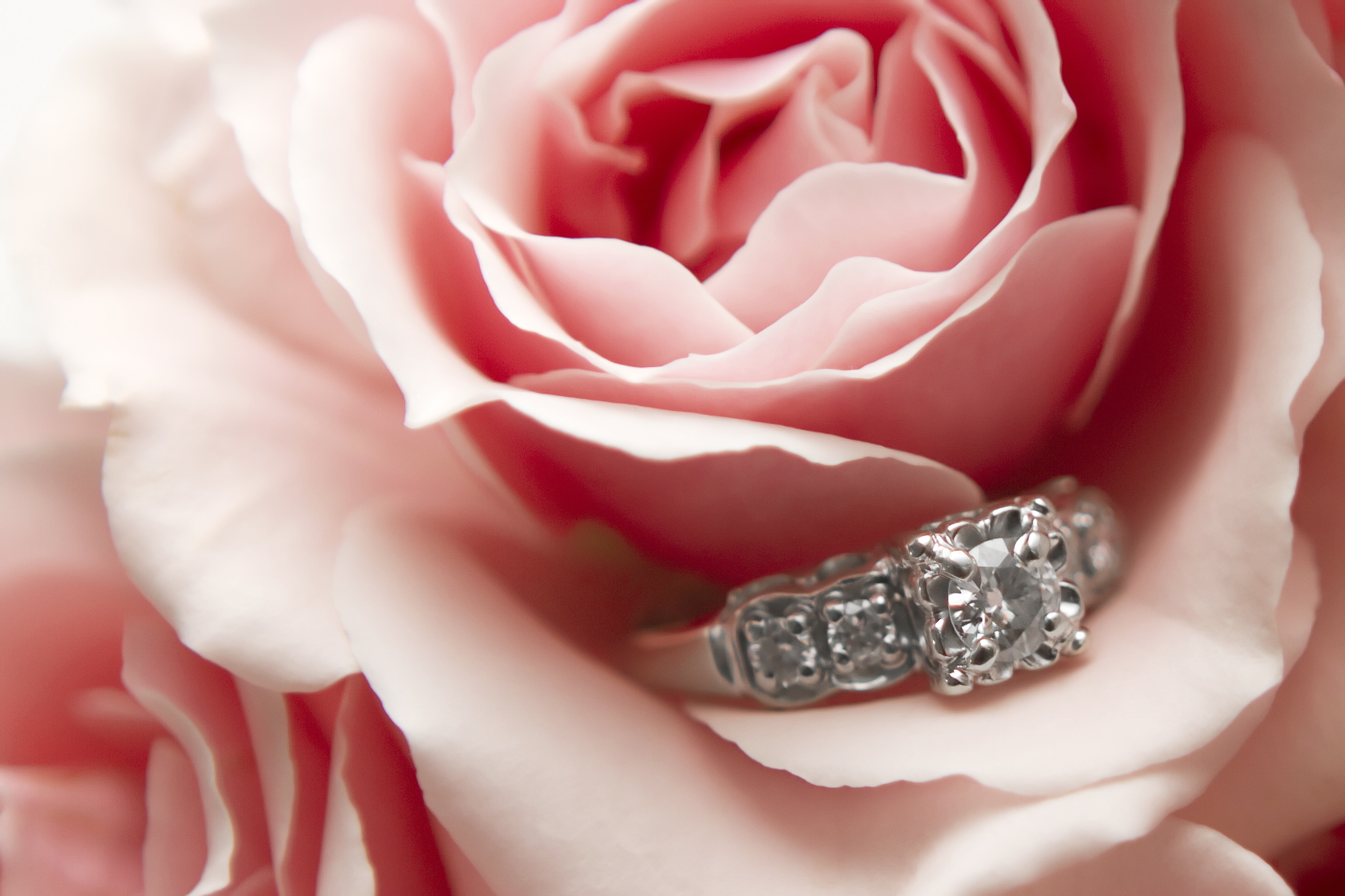 Фото кольца и цветов. Красивые кольца. Кольцо цветы. Розы и драгоценности. Розы и колечко.