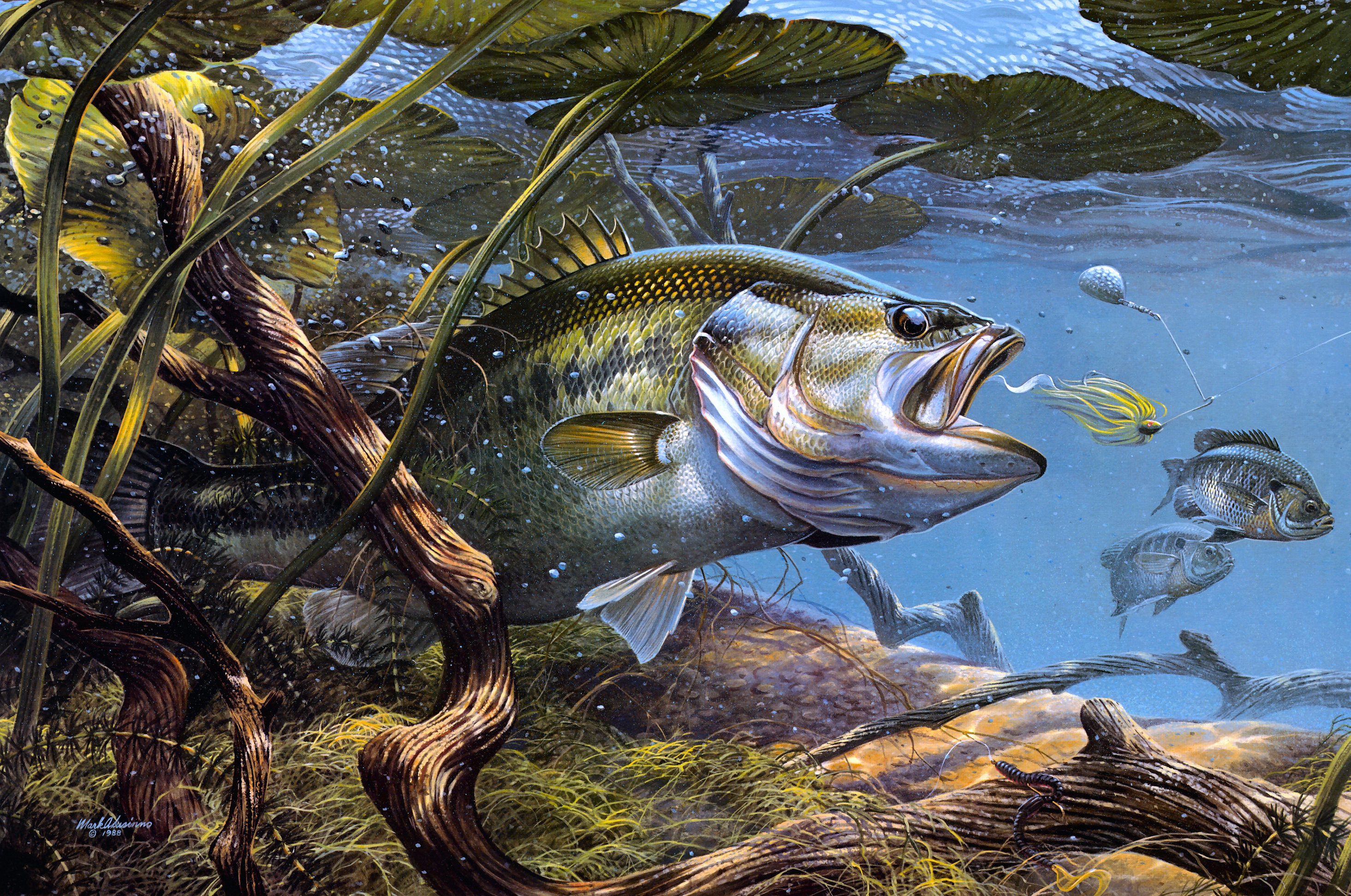 Рыба хищник в озере. Картины марка Сузино.