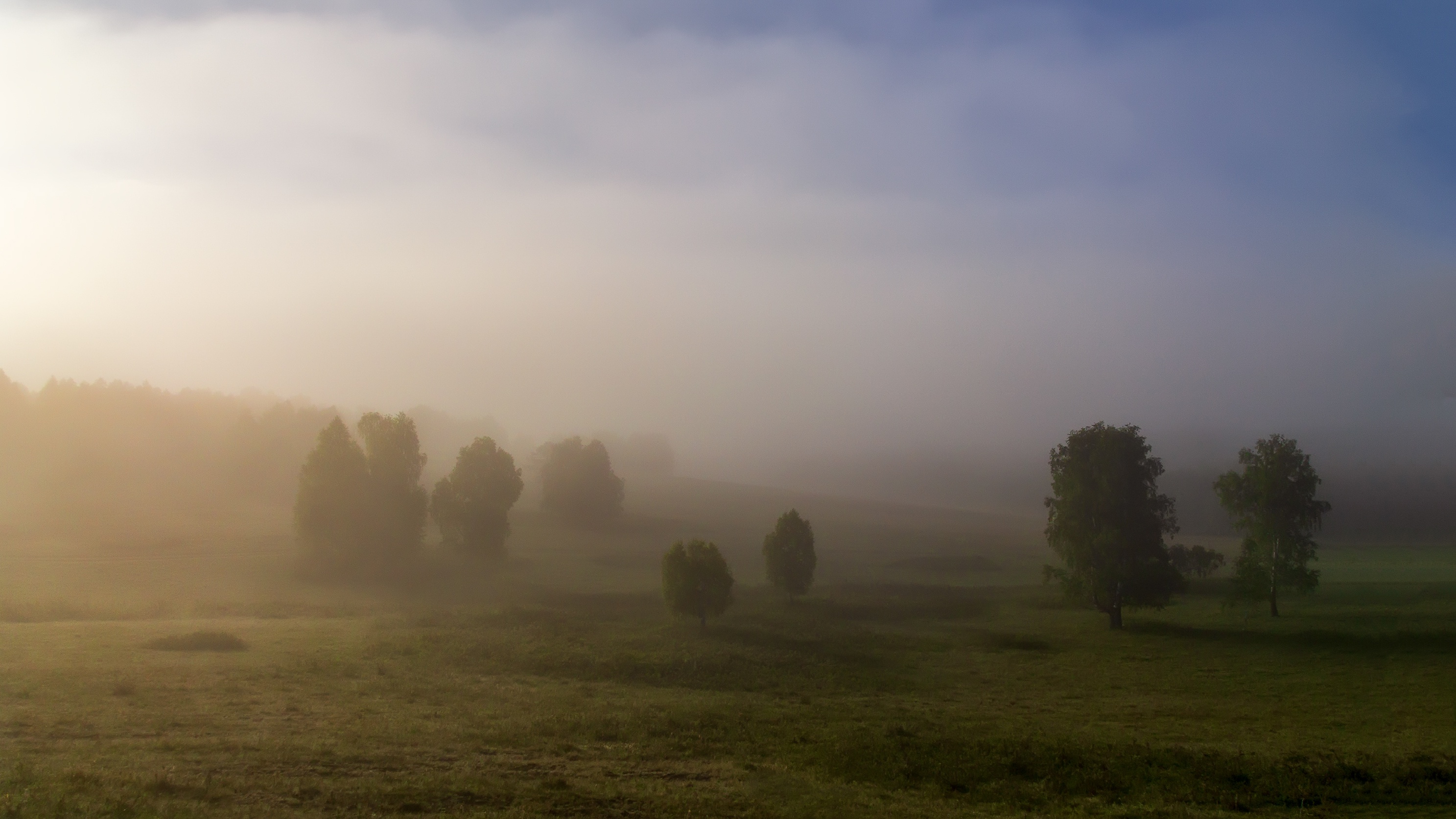 Туман туман по полю стелиться. Туман туман по полю стелиться. Туман туман по полю стелиться. Чистое поле в тумане. Атмосферные пейзажи.