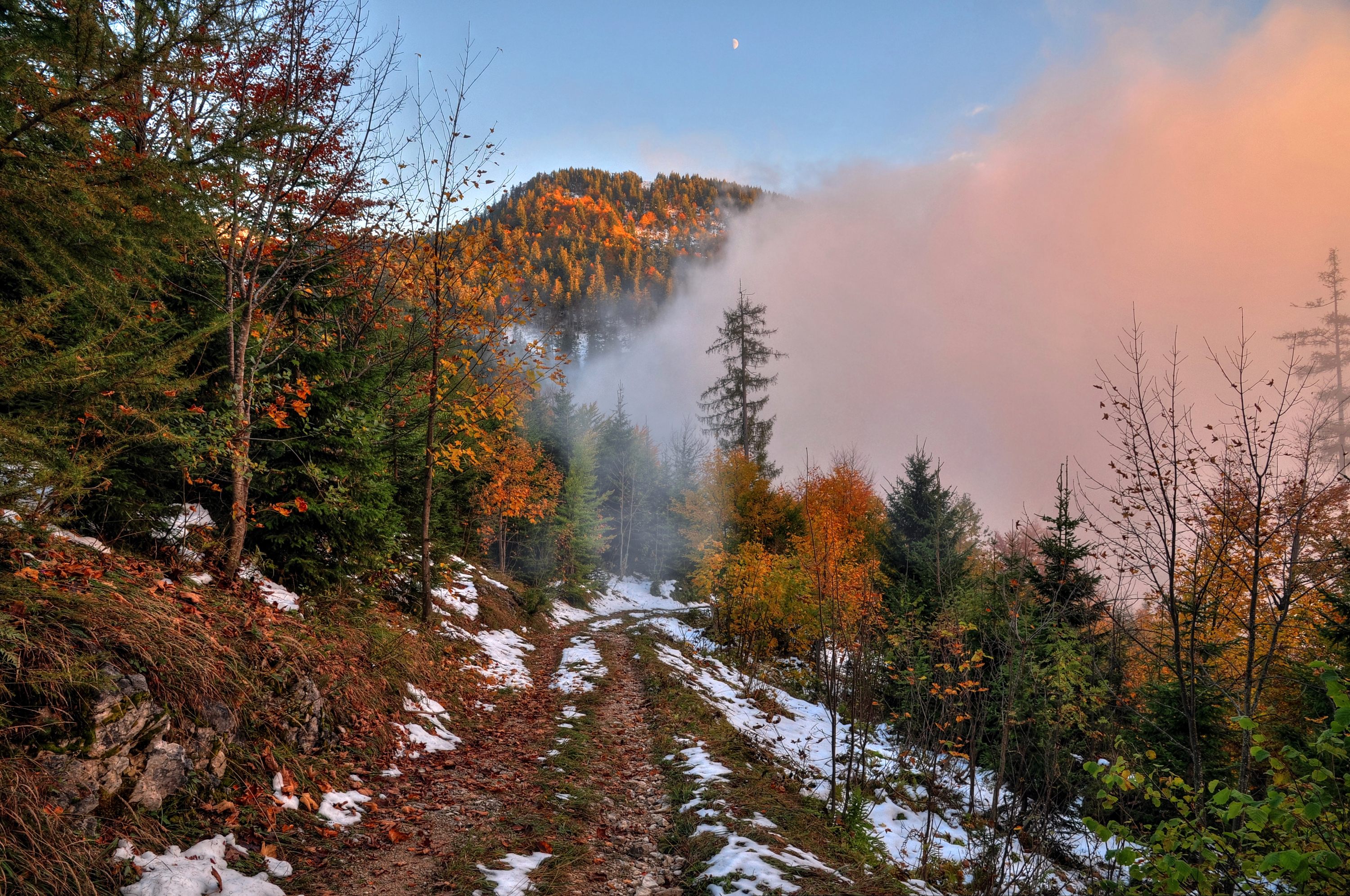 Природа в ноябре. Поздняя осень в горах. Поздняя осень в тайге. Лес в ноябре. Ноябрь горы лес.