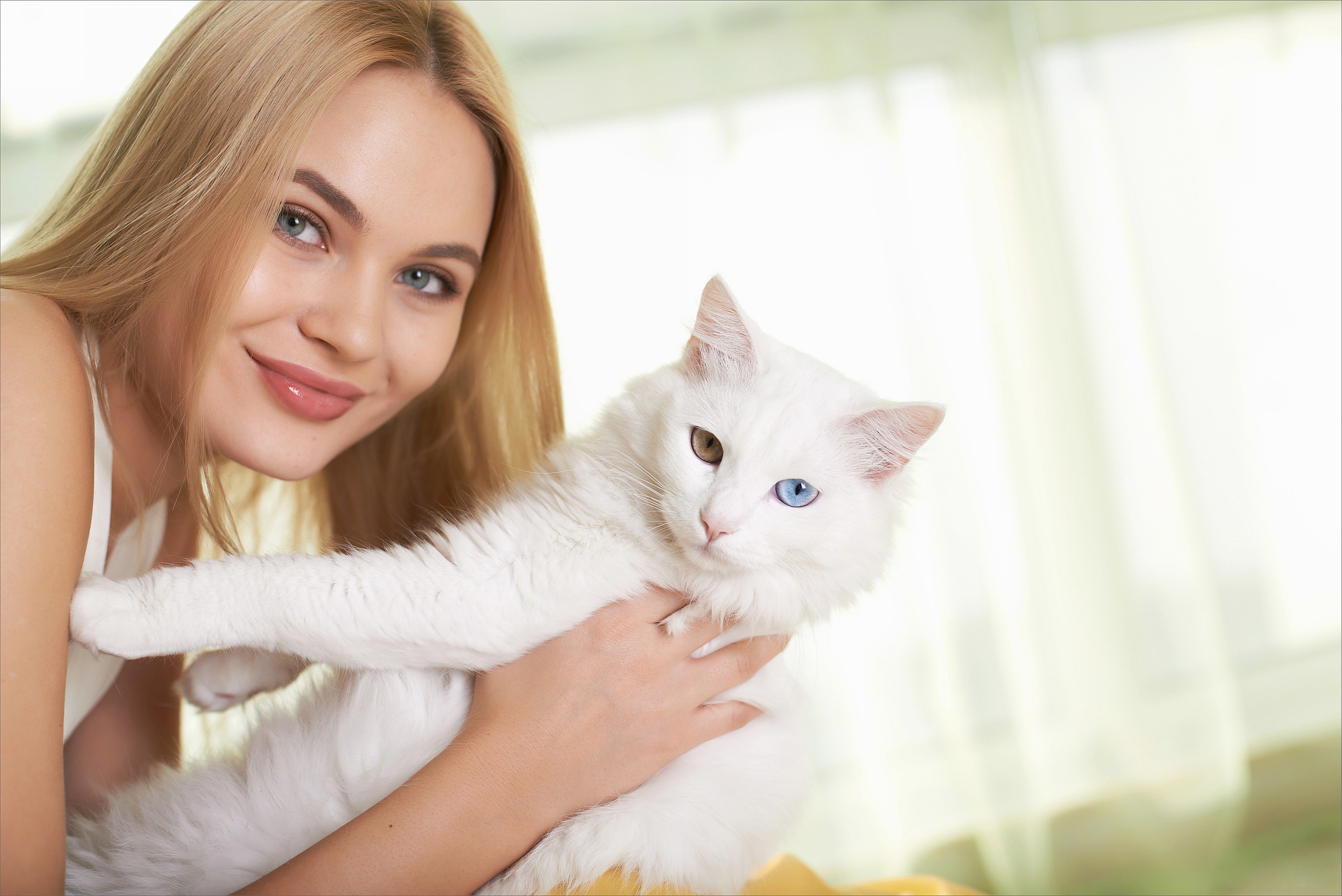 Картинка киски девушку. Девушка с белой кошкой. Красивая девушка с котиком.