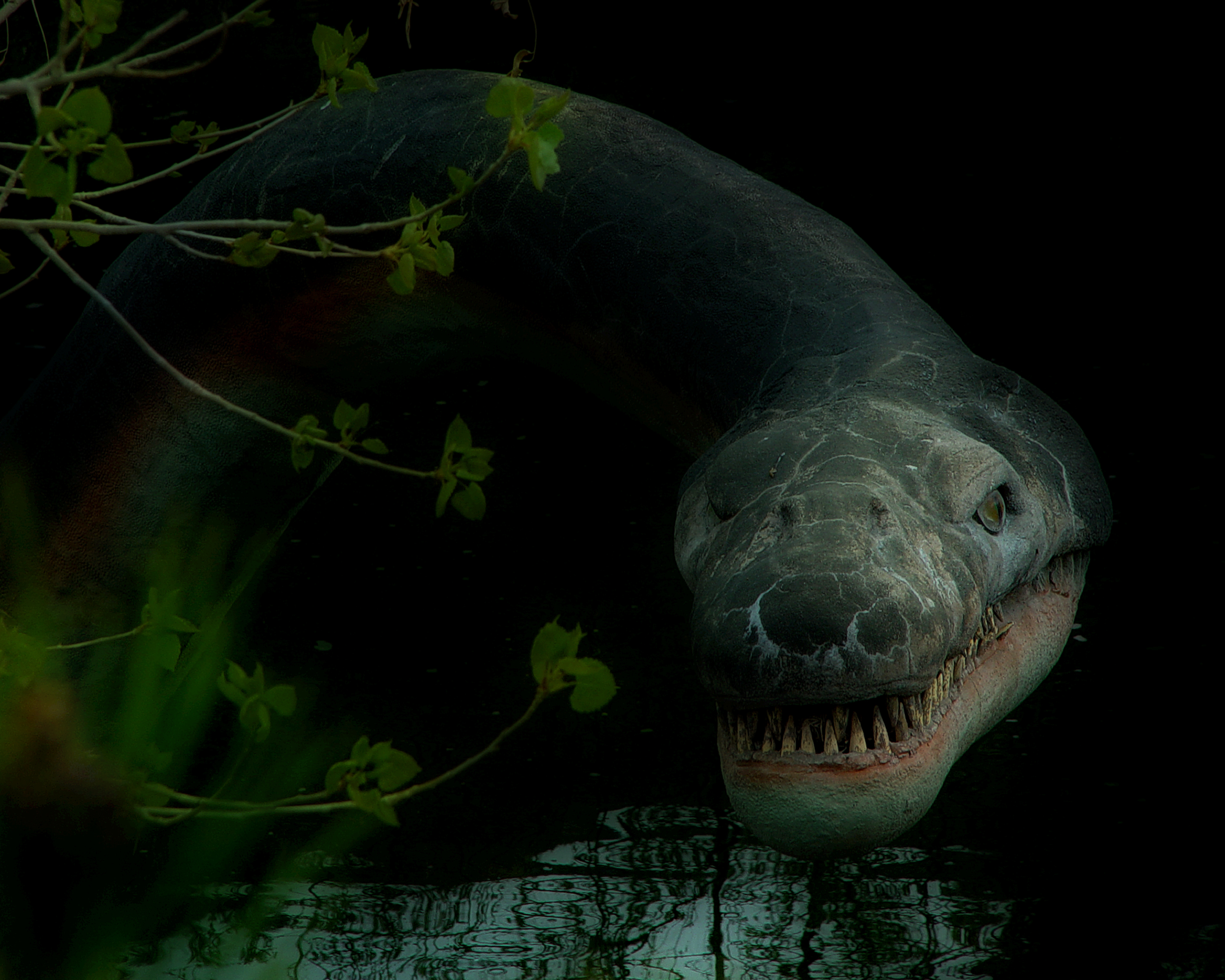 Монстры в озерах. Несси Лохнесское чудовище. Озеро Лохнесс в Шотландии чудовище. Лох Несс чудовище.