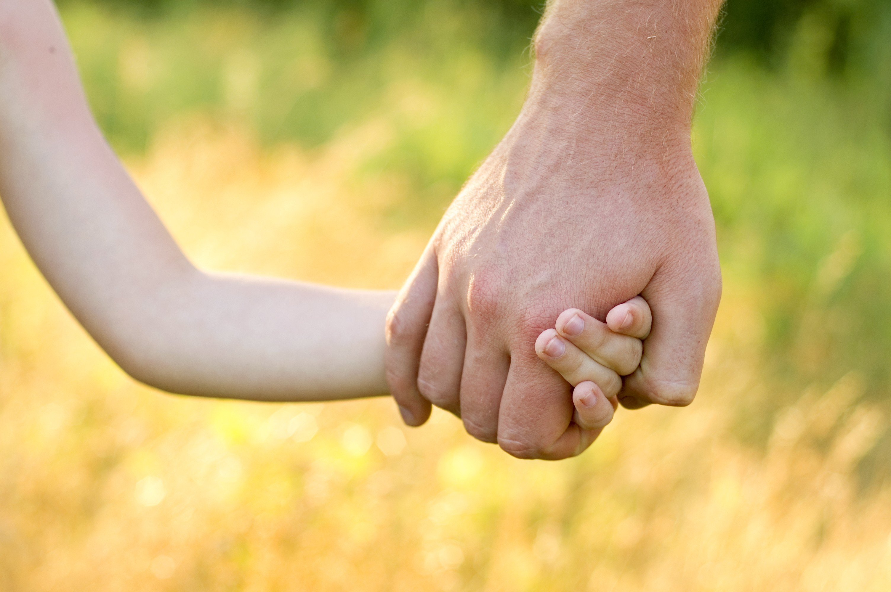 Природа доверия. Ребенок держит за руку. Ребенок и взрослый за руку. Взрослый и ребенок держатся за руки. Детская и взрослая рука.