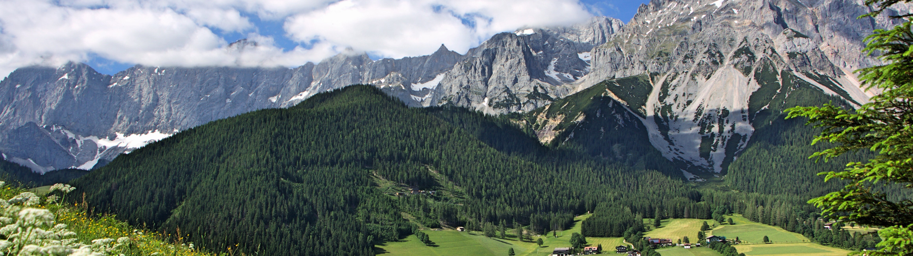 Download wallpaper flowers, mountains, Austria, valley, village, Alps ...