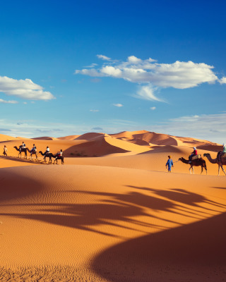 Небо караван. Пустыня. Караван в пустыне. Лето в пустыне. Верблюд в оазисе.