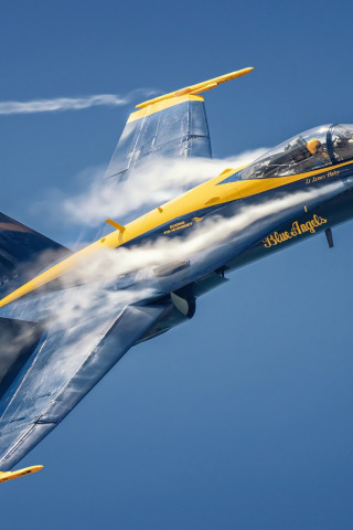 Download Wallpaper Lantern, F/A-18, Blue Angels, Pilot, Aerobatic.