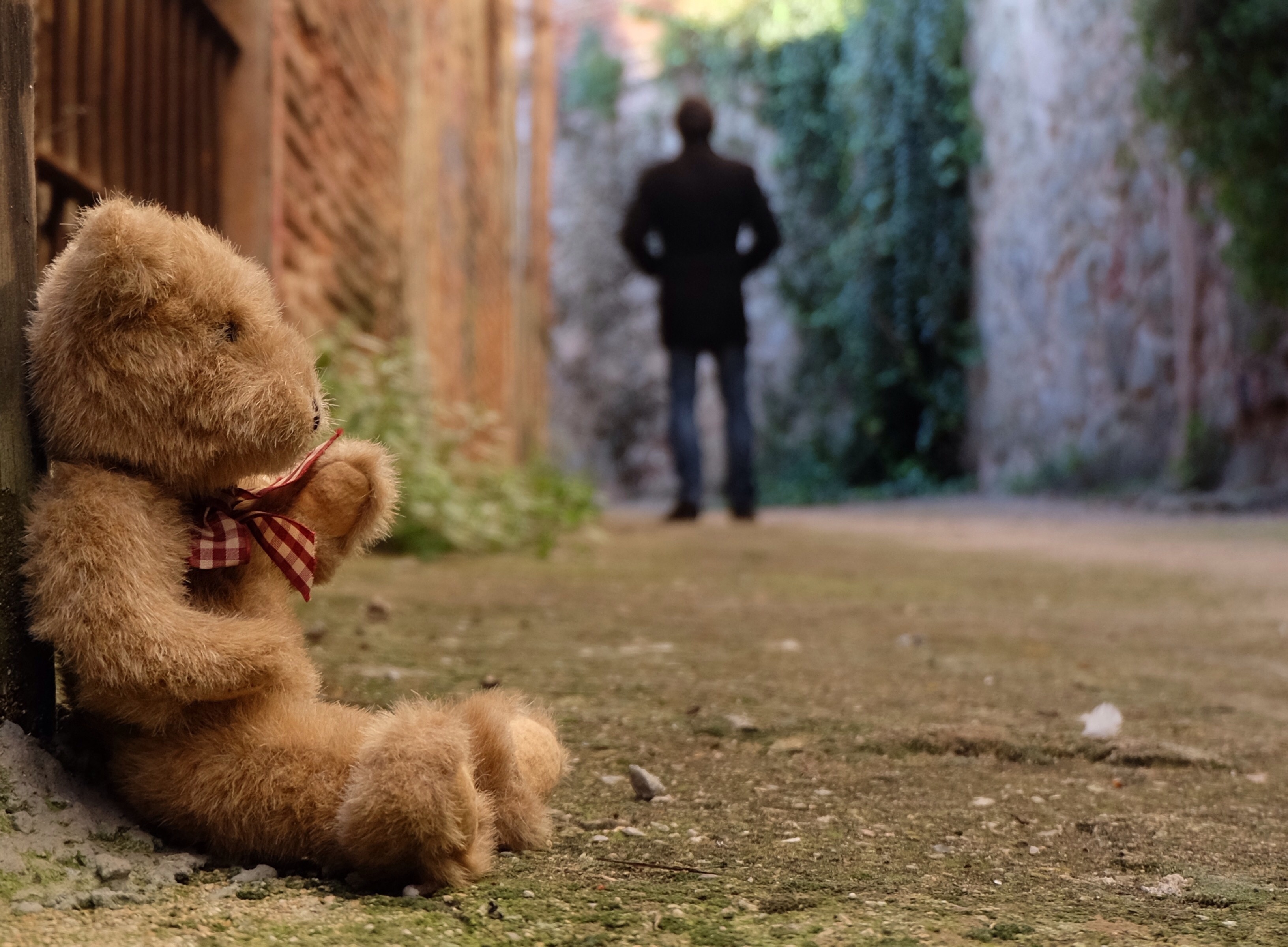 Alone teddy bear store wallpaper