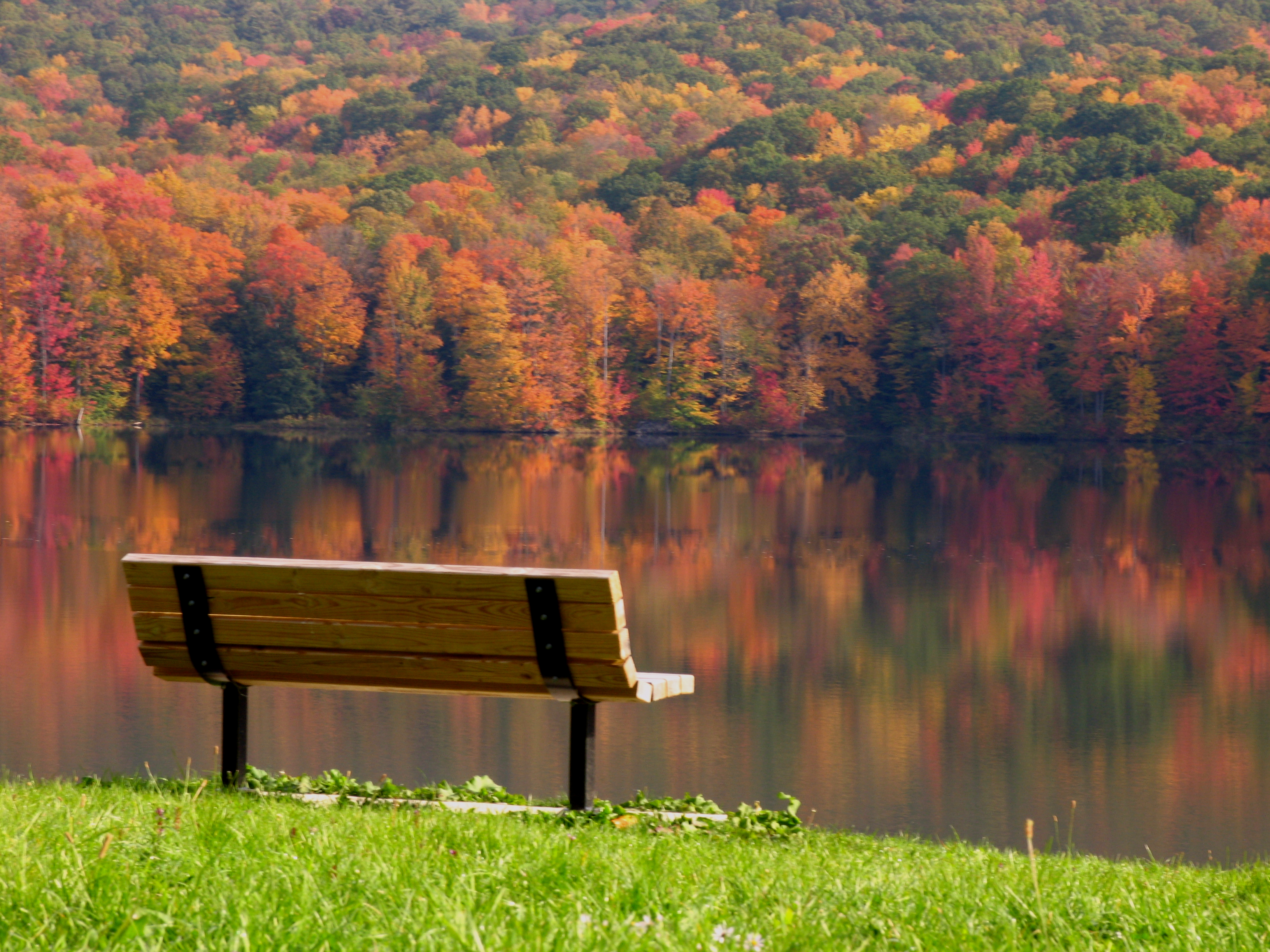 Безмятежная тишина. Лавочка на берегу реки Абакан. Осень парк лавочка озеро. Осенний пейзаж. Скамейка на природе.