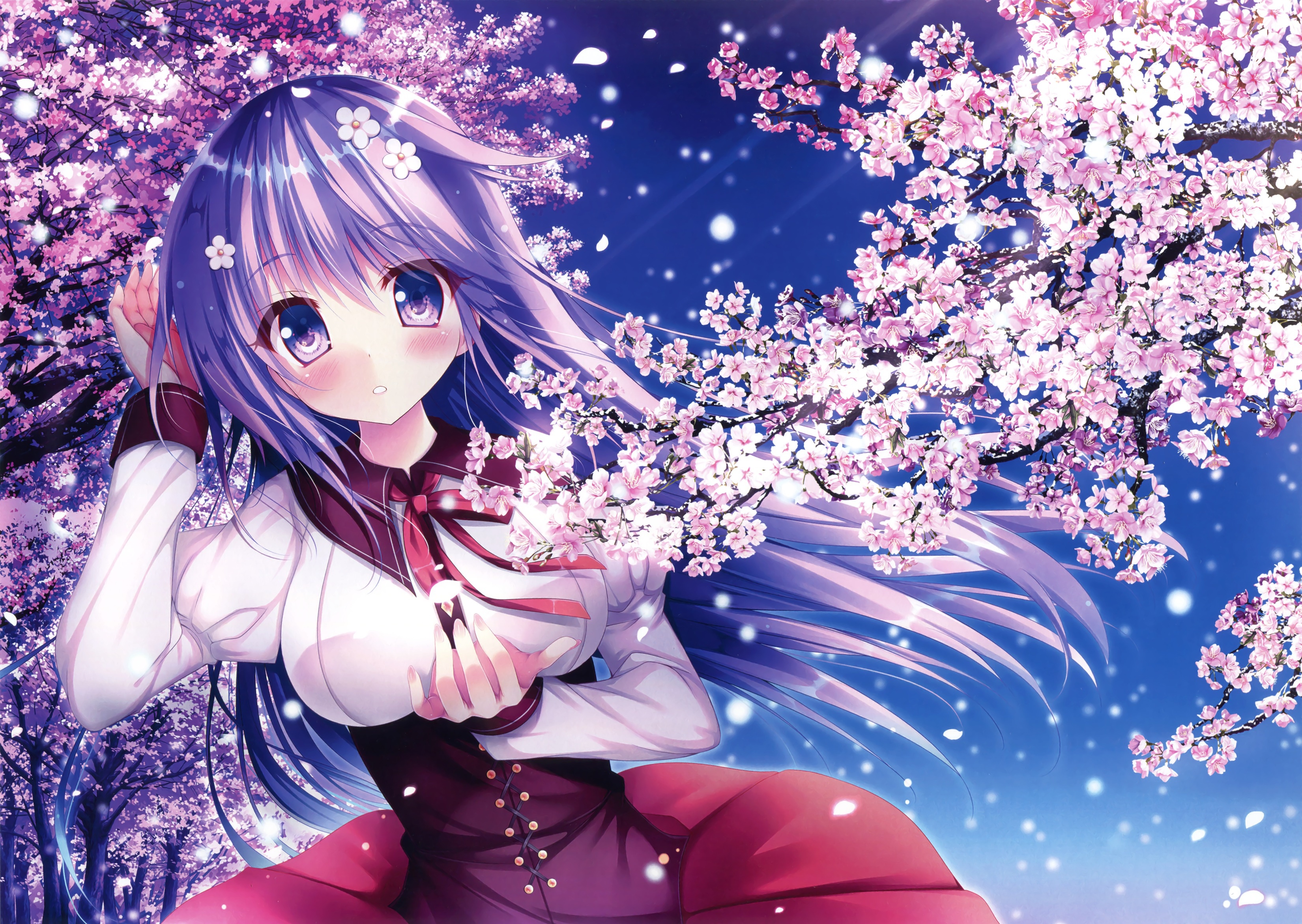 Sakura deals anime wallpaper