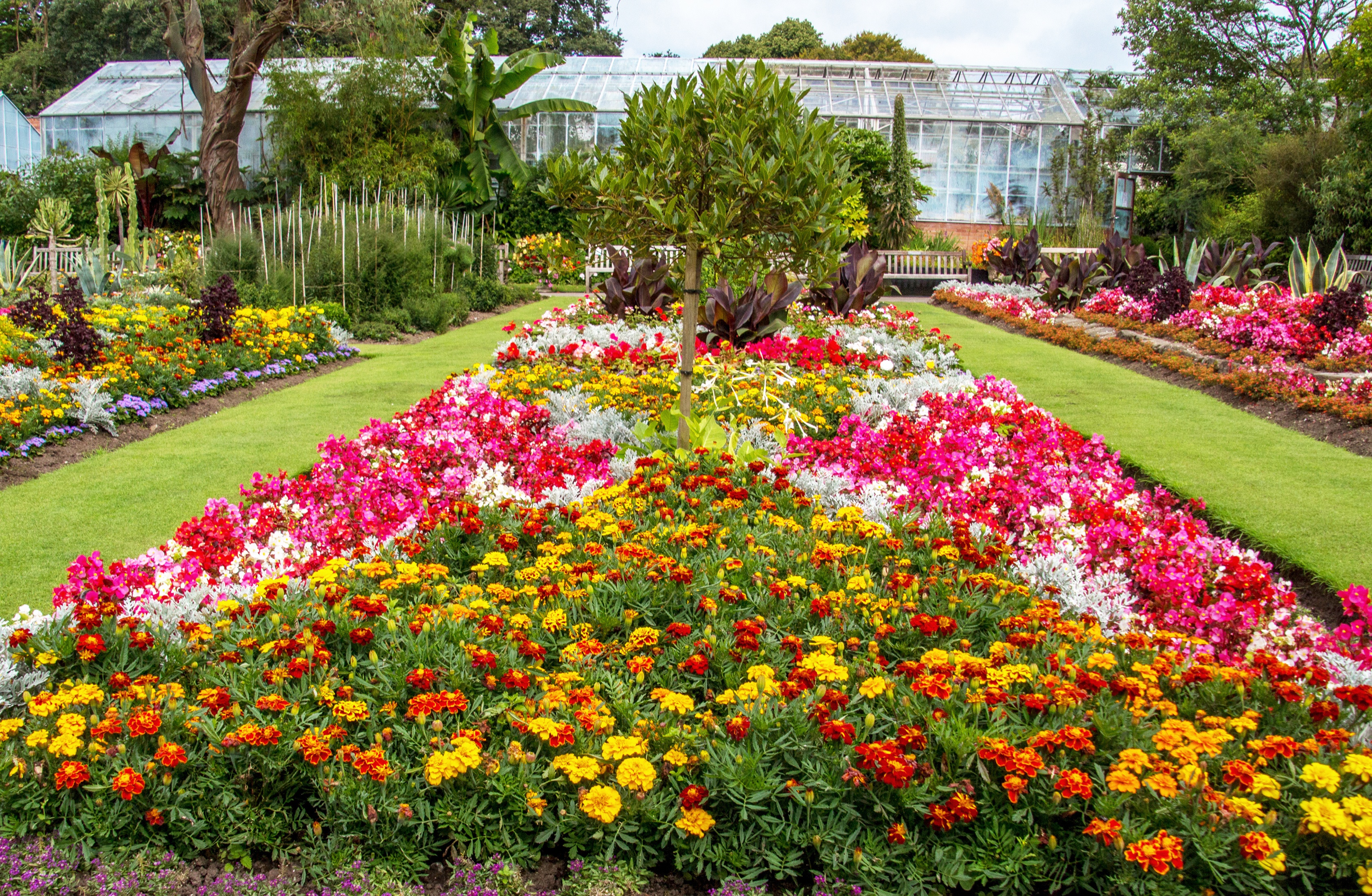 Цвети сад. Wentworth Castle Gardens. Цветы в саду. Красивые клумбы. Красивые цветники.