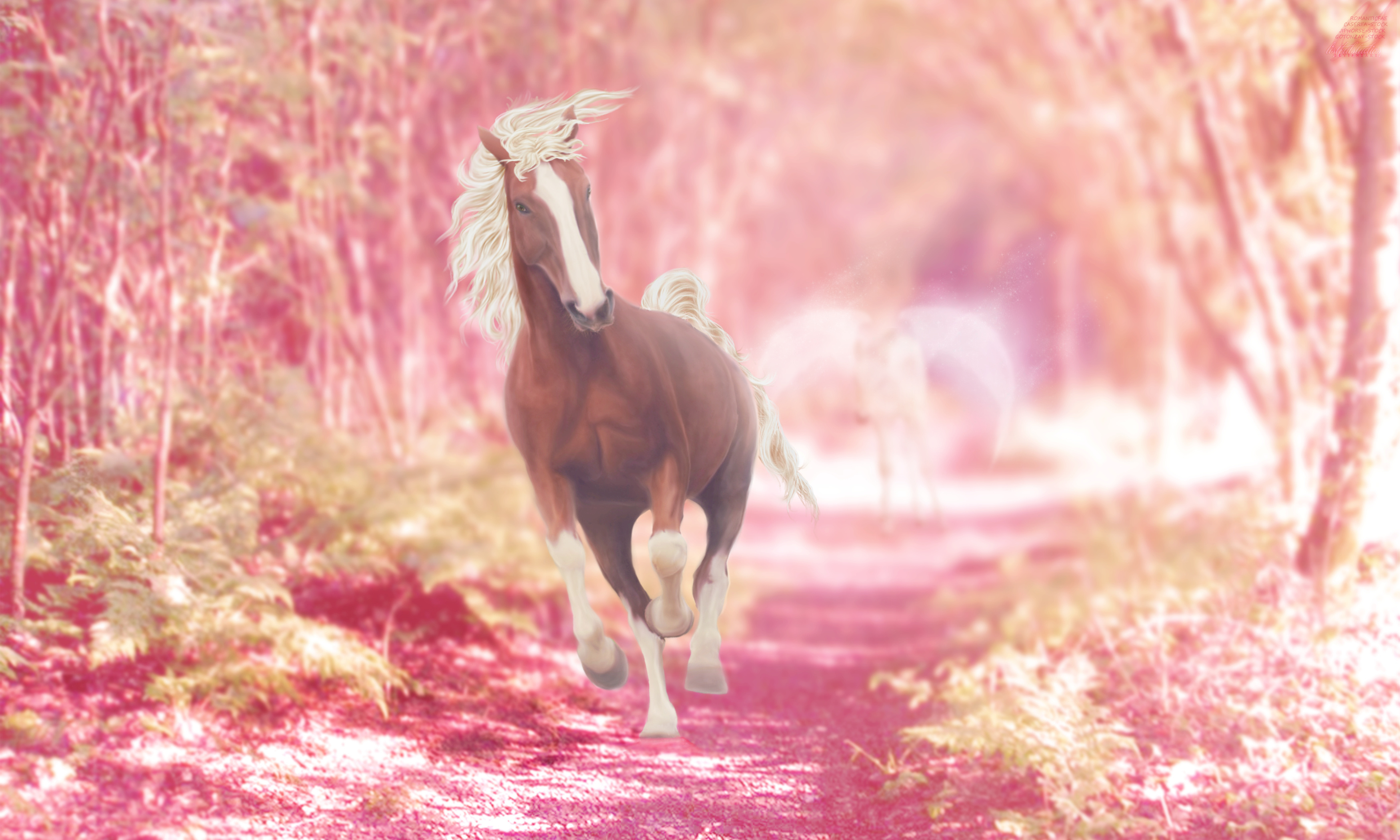 Розовый конь песни. Розовый конь. Лошади на рабочий стол. Лошади на природе. Заставка на рабочий стол лошади.