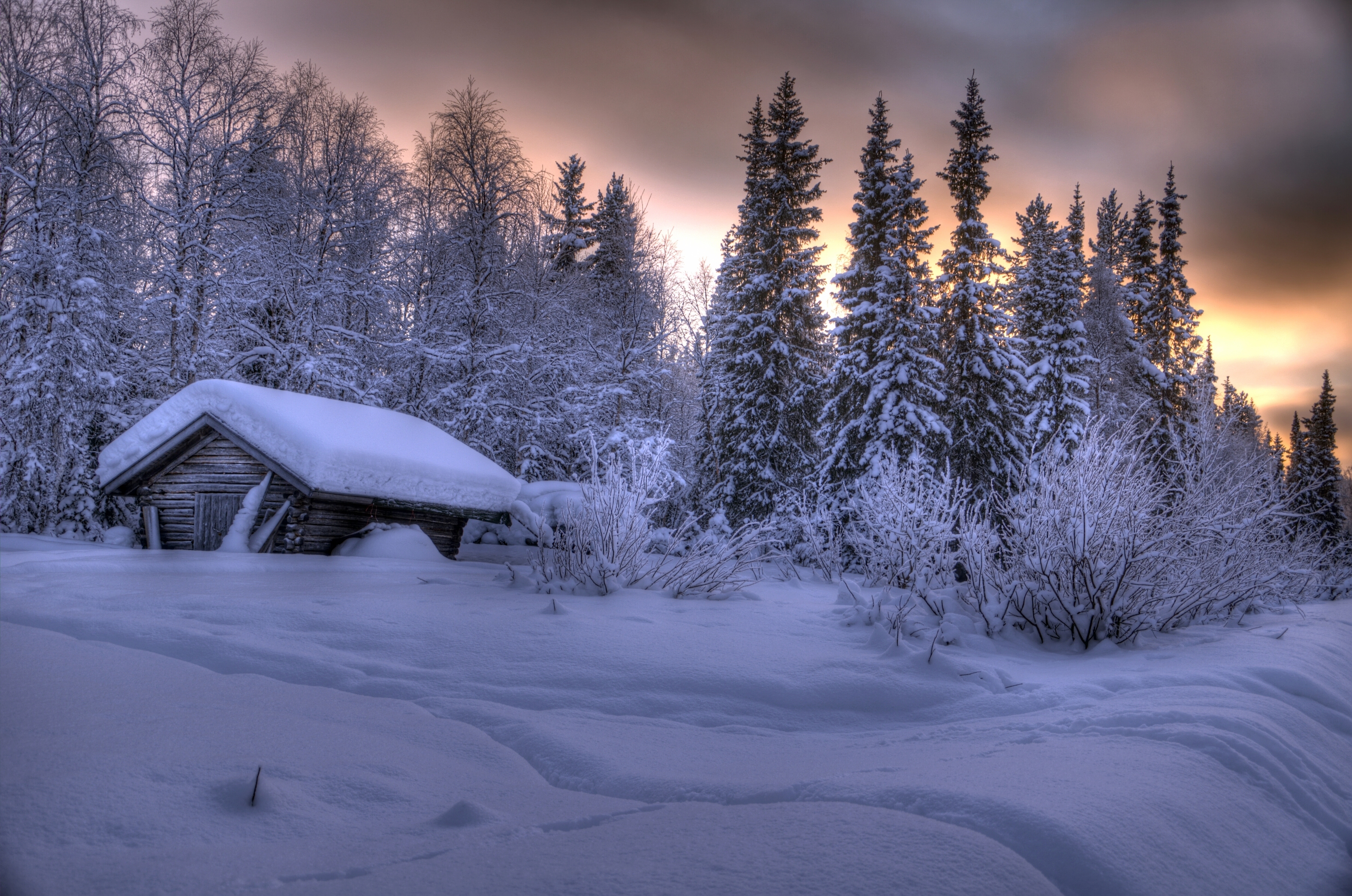 Пейзаж зимний лес. Финляндия зимняя избушка. Зима в лесу. Избушка в лесу зимой. Домик в зимнем лесу.