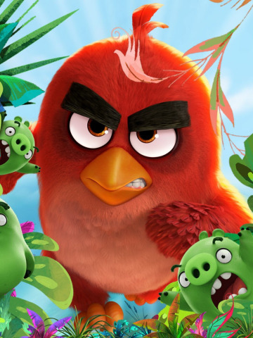 angry birds orange bird wallpaper