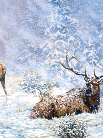 Download Wallpaper Winter Frost Forest Snow Nature Pose Figure Picture Section Painting