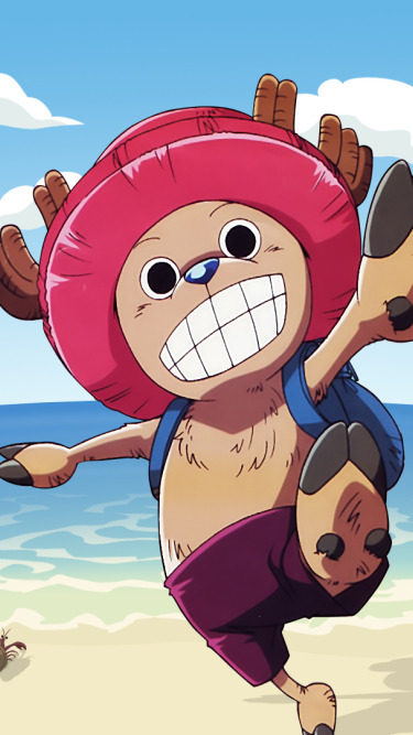 Download wallpaper one piece, chopper, one piece, reindeer, section ...