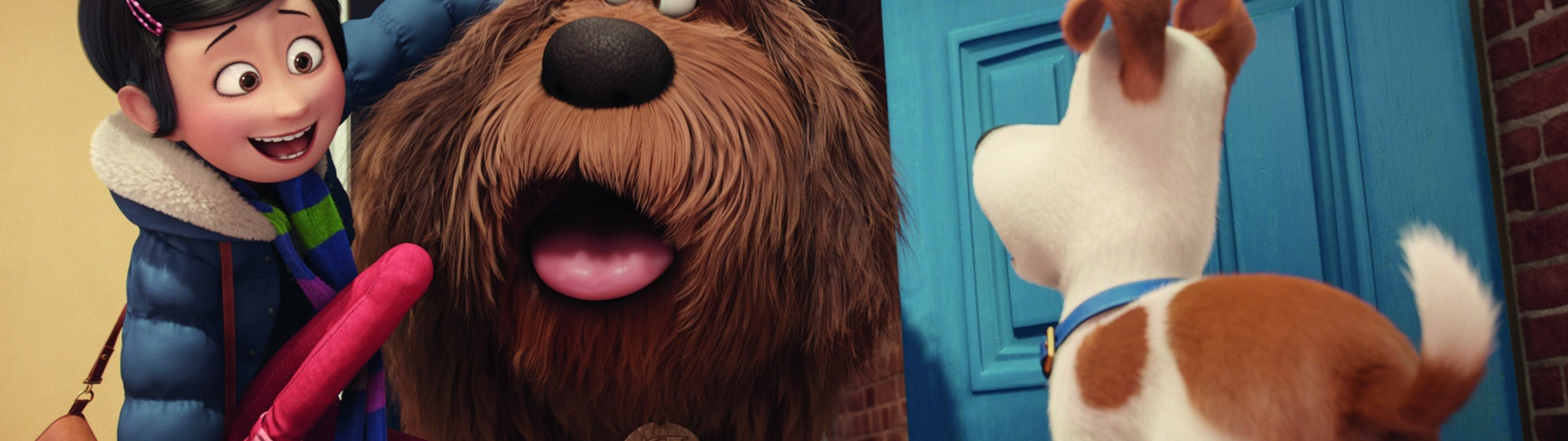 Download wallpaper cinema, wallpaper, house, happy, dog, cartoon, movie ...