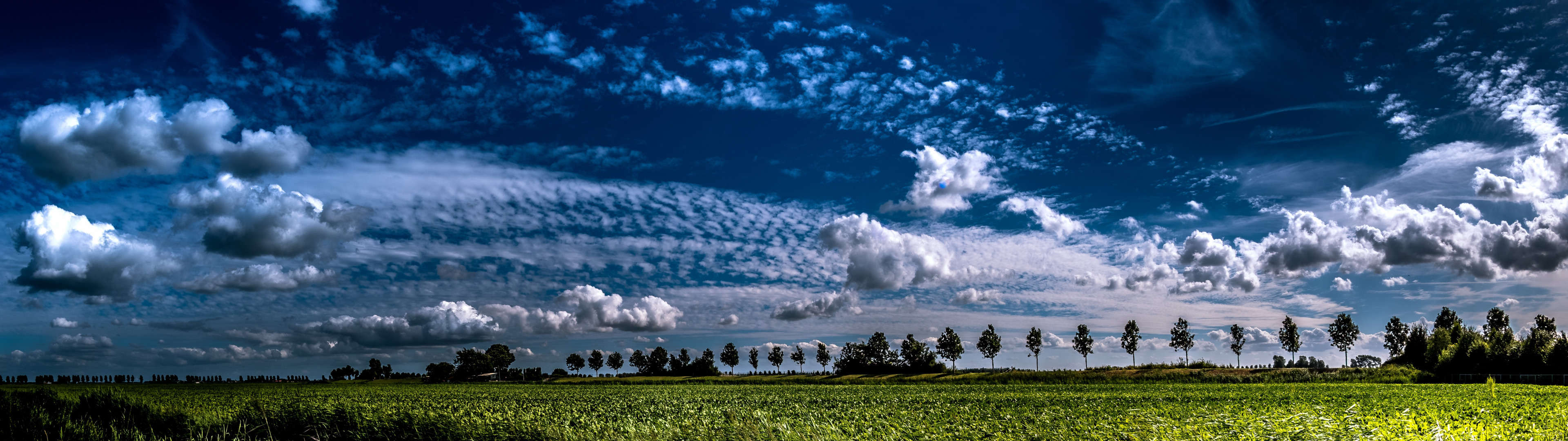 Download wallpaper field, summer, the sky, section landscapes in ...