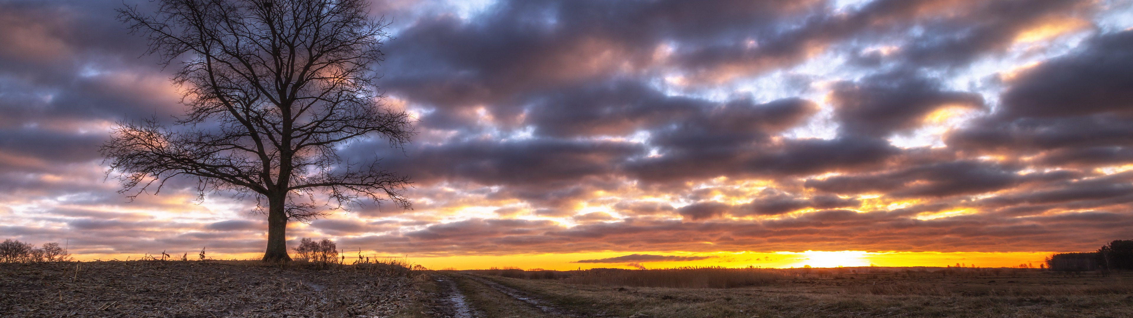 Download wallpaper road, sunset, nature, section nature in resolution ...