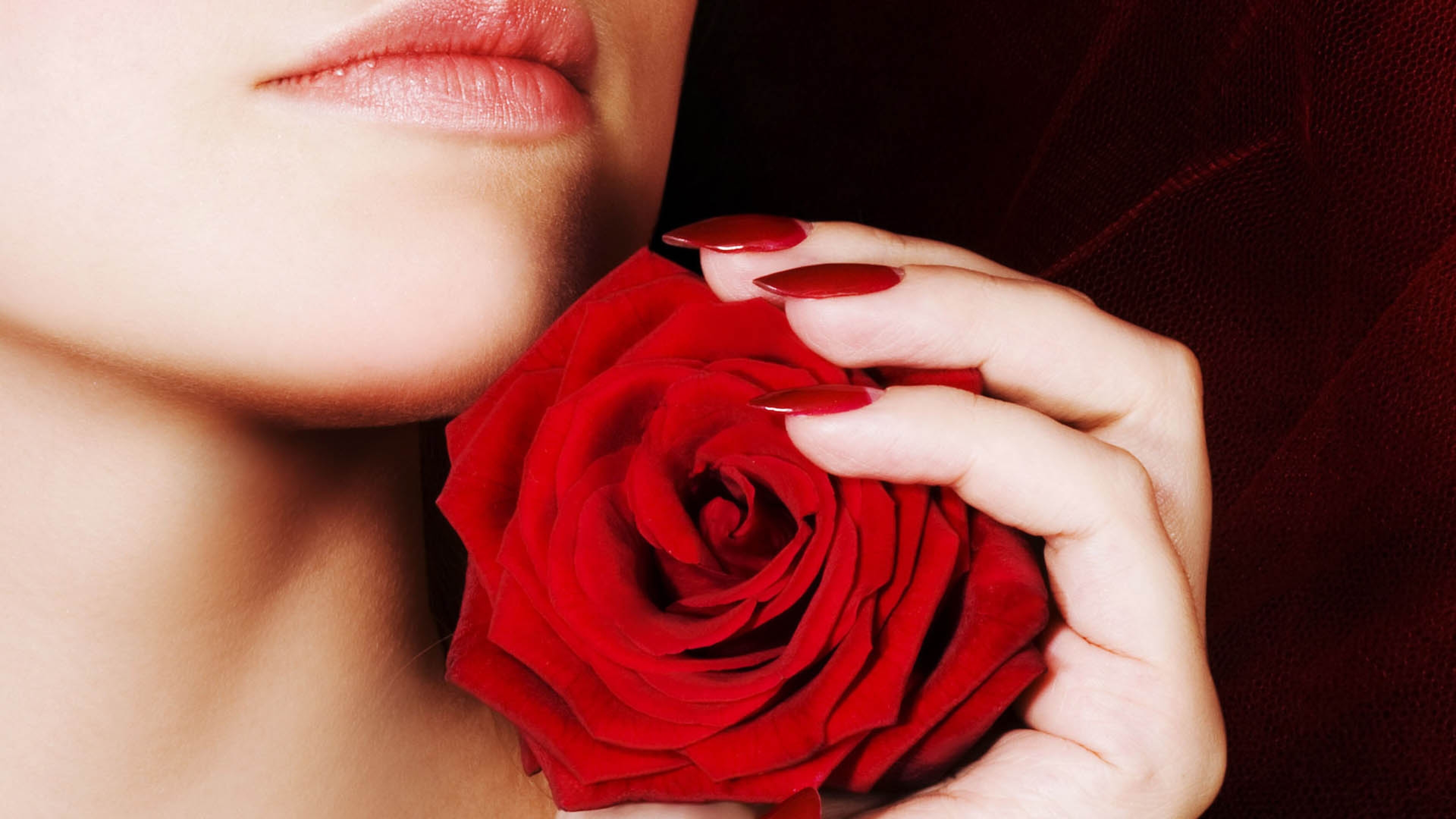 Красивые картинки в одноклассники. Девушка с розой. Фотосессия с розами. Девушка с красными розами. Девушка с розой в руках.