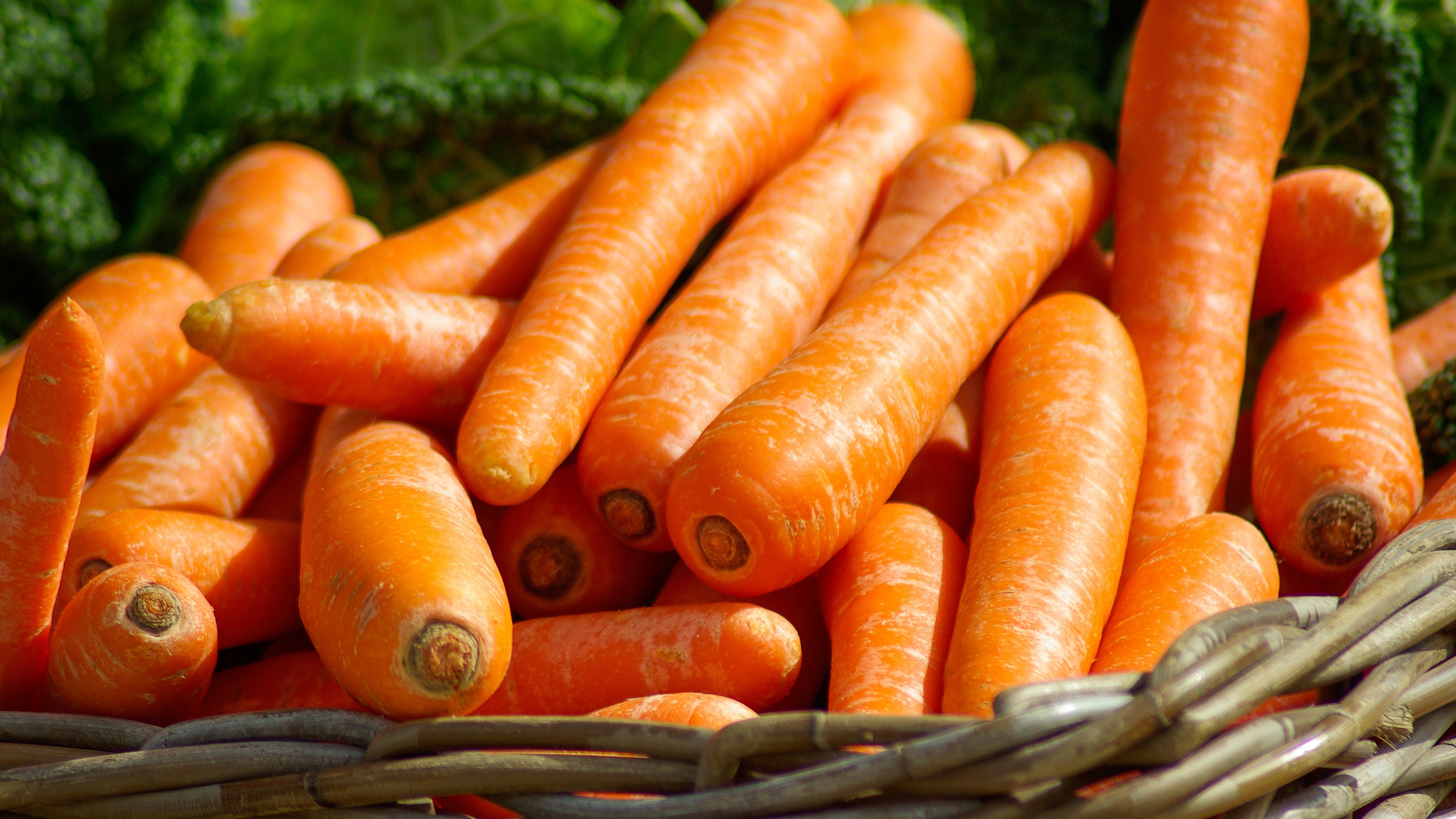 Большое количество моркови. Морковь сорт цукат. Израильская морковь. Оранжевые овощи. Морковь фото картинки.