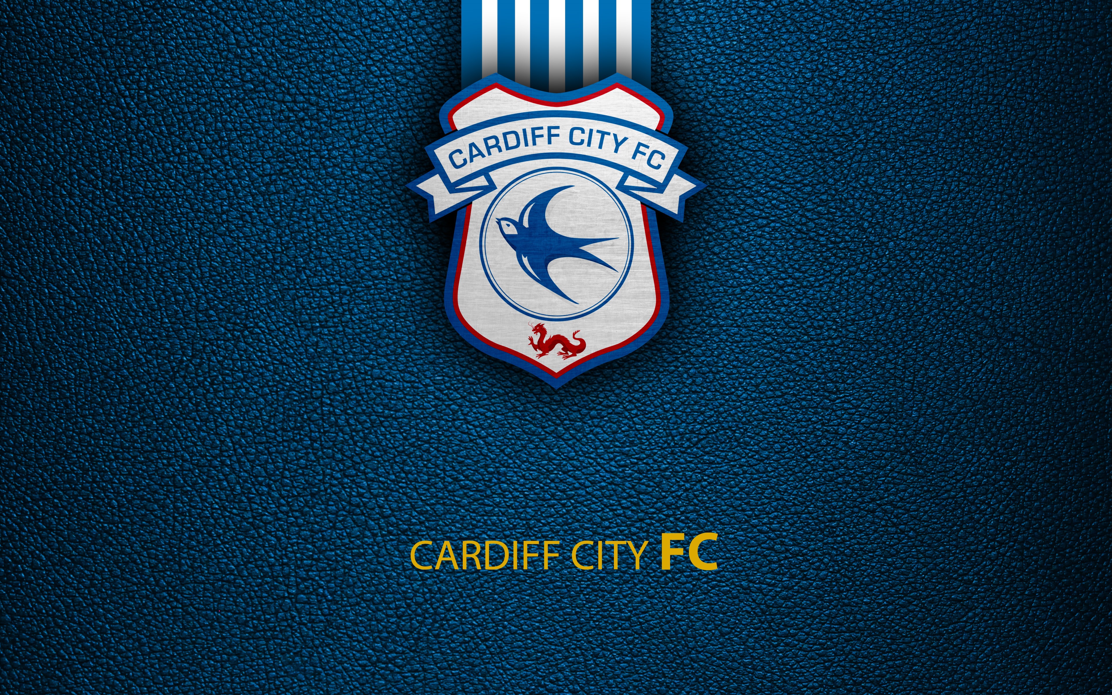 Cardiff City FC flag, , blue and white 3D waves, EFL Championship, english  football club, HD wallpaper | Peakpx