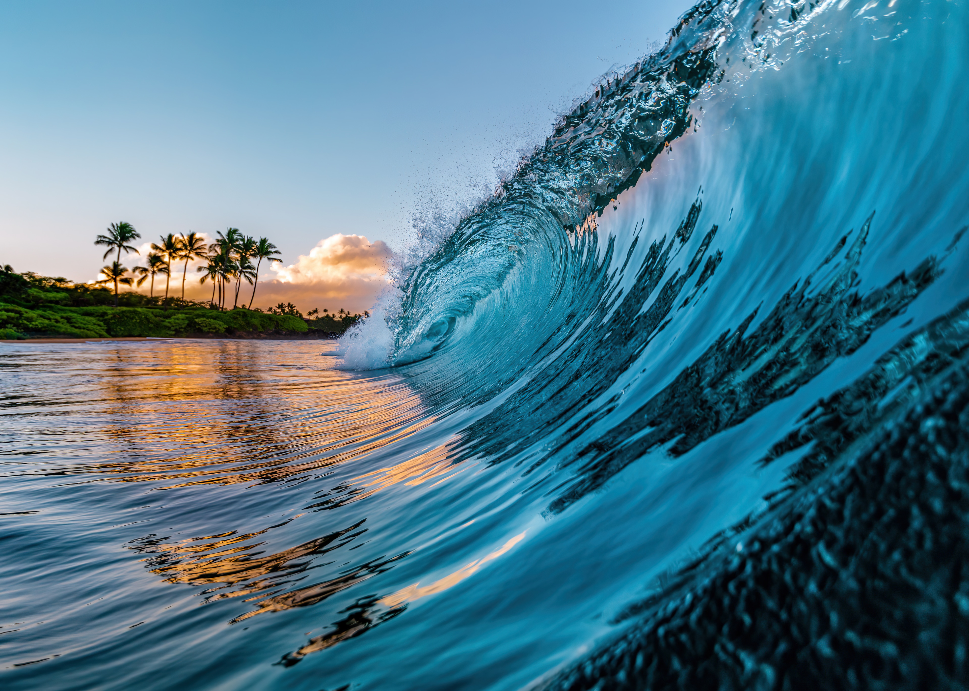 Beach With Palm Trees And Waves
