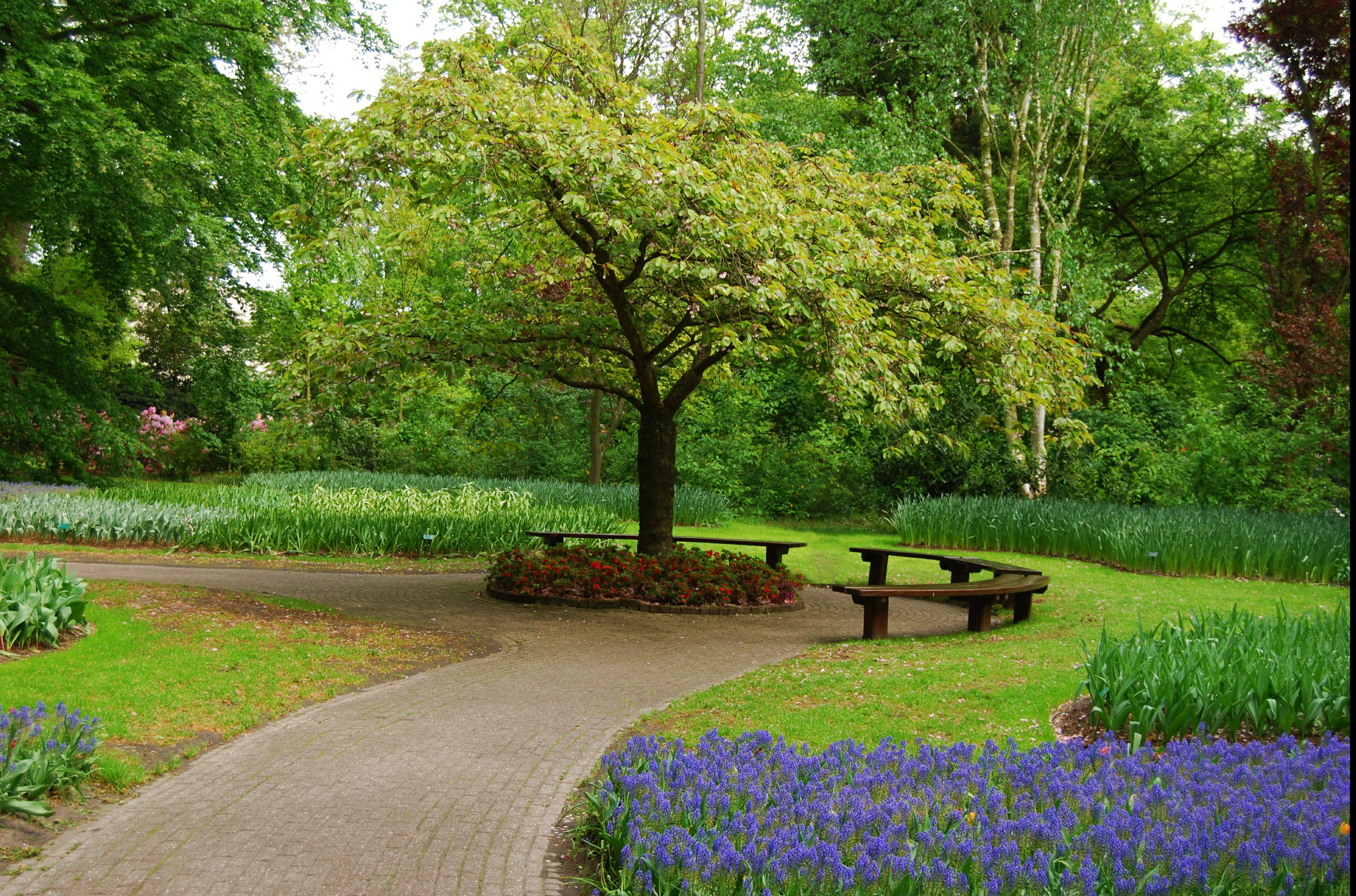 Красивый парк рядом. Весенний сад (Spring Topiary Garden). Грин Гарден парк. Парку «сад Григорія Сковороди».. Пейзажный парк.