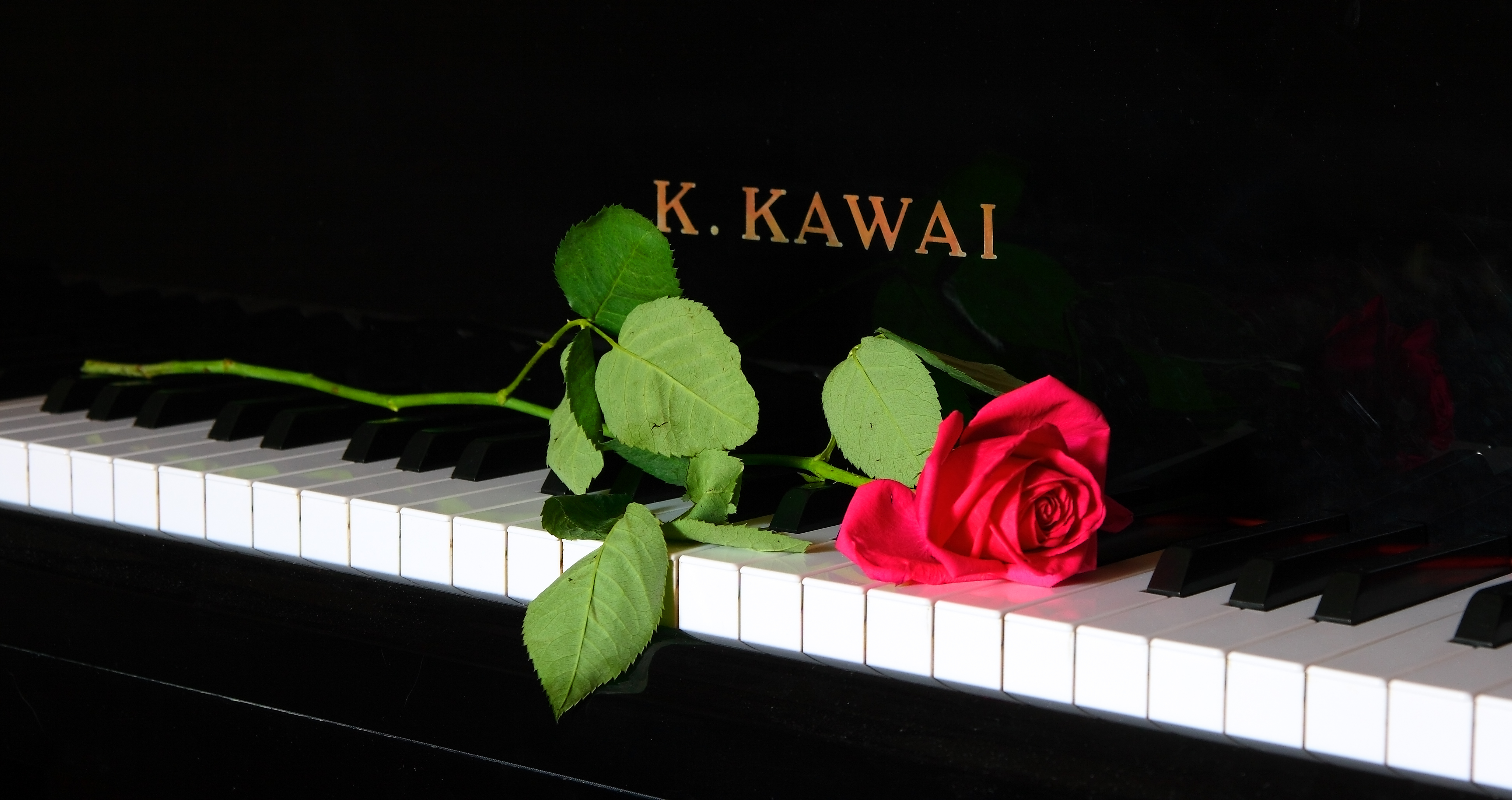 Flower melody. Цветы на рояле. Пианино с цветами. Рояль с цветами. Музыкальный цветок.