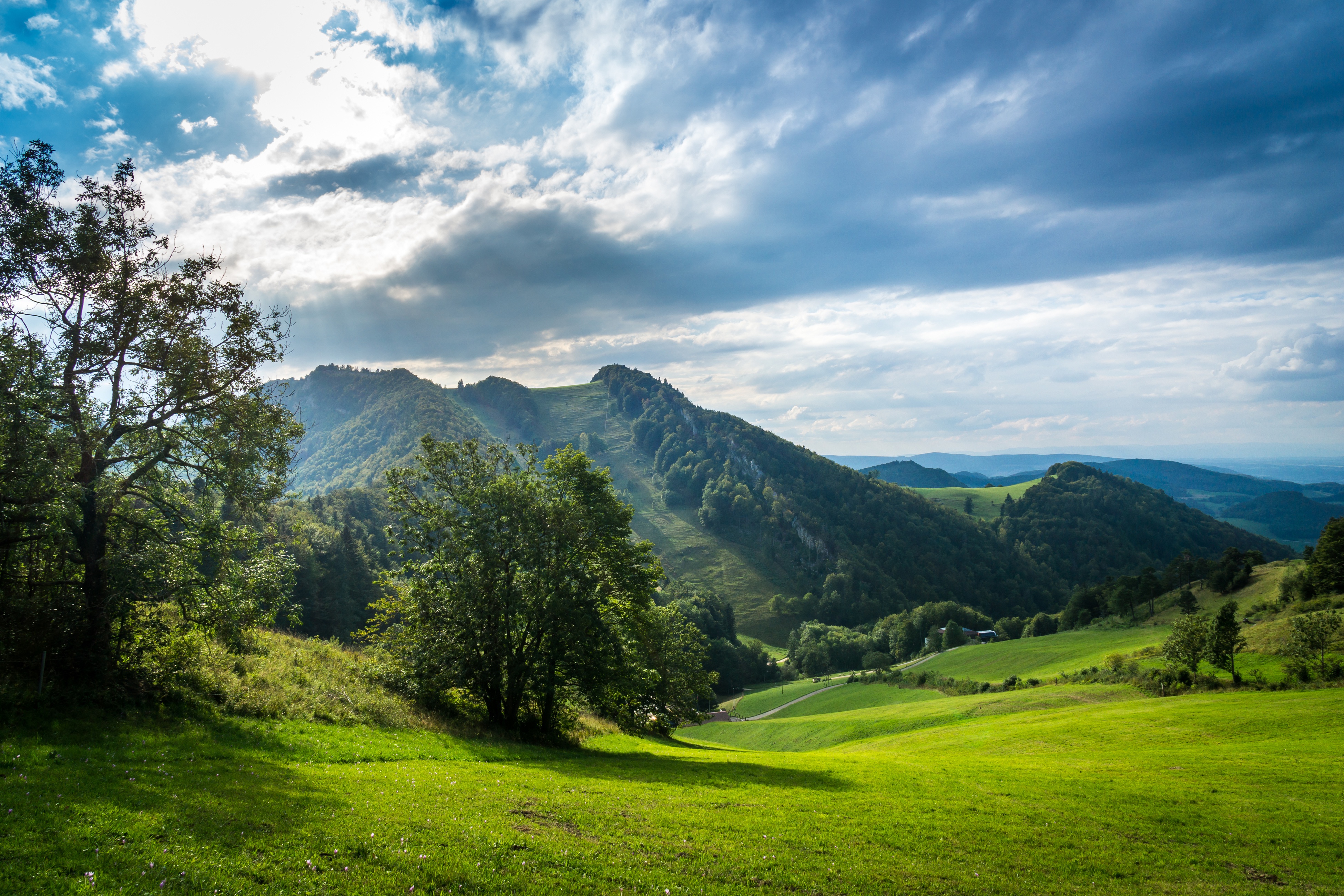 4 холма. Зеленые холмы Швейцарии. Зеленые Луга в горах Швейцарии. Природа Швейцарии деревья холмы горы. Швейцария Альпы Луга.