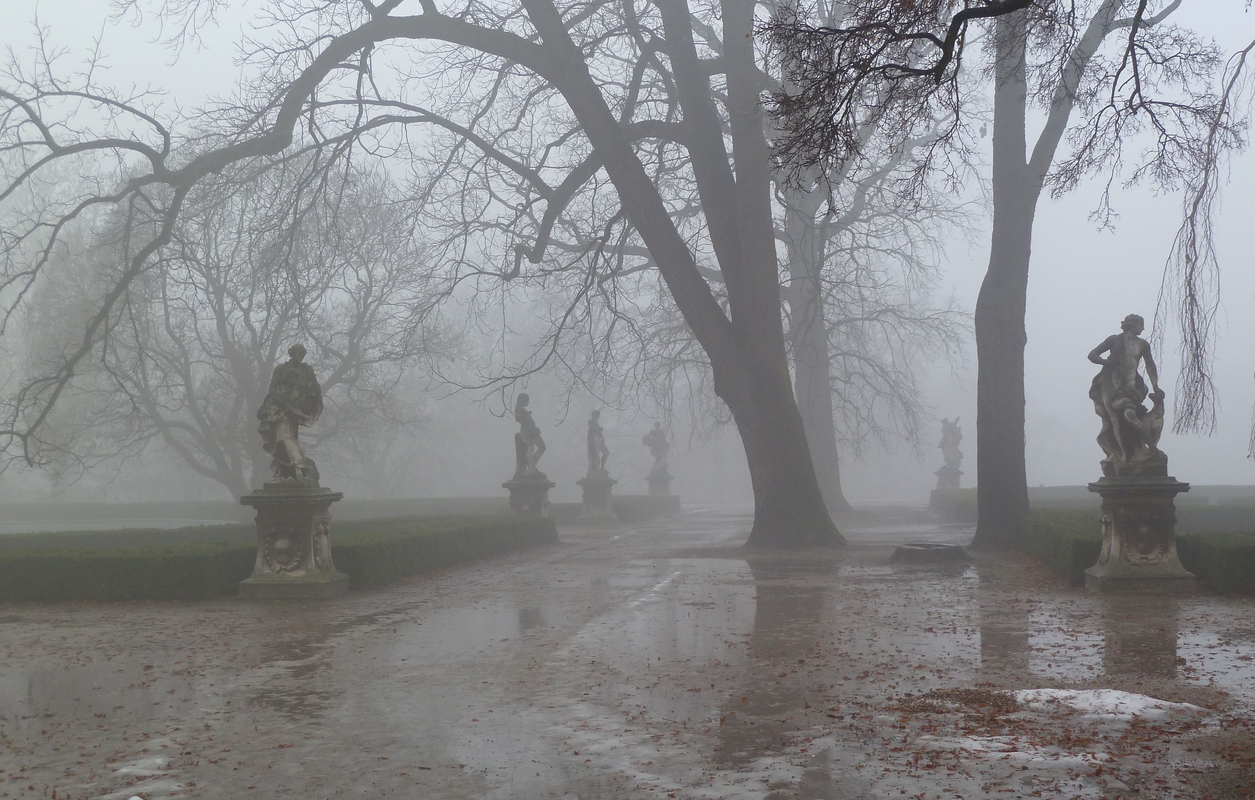 Медленно брел. Екатерининский парк туманная аллея. Санкт-Петербург туман. Парк в тумане в Павловске. Туманный Петергоф памятники.