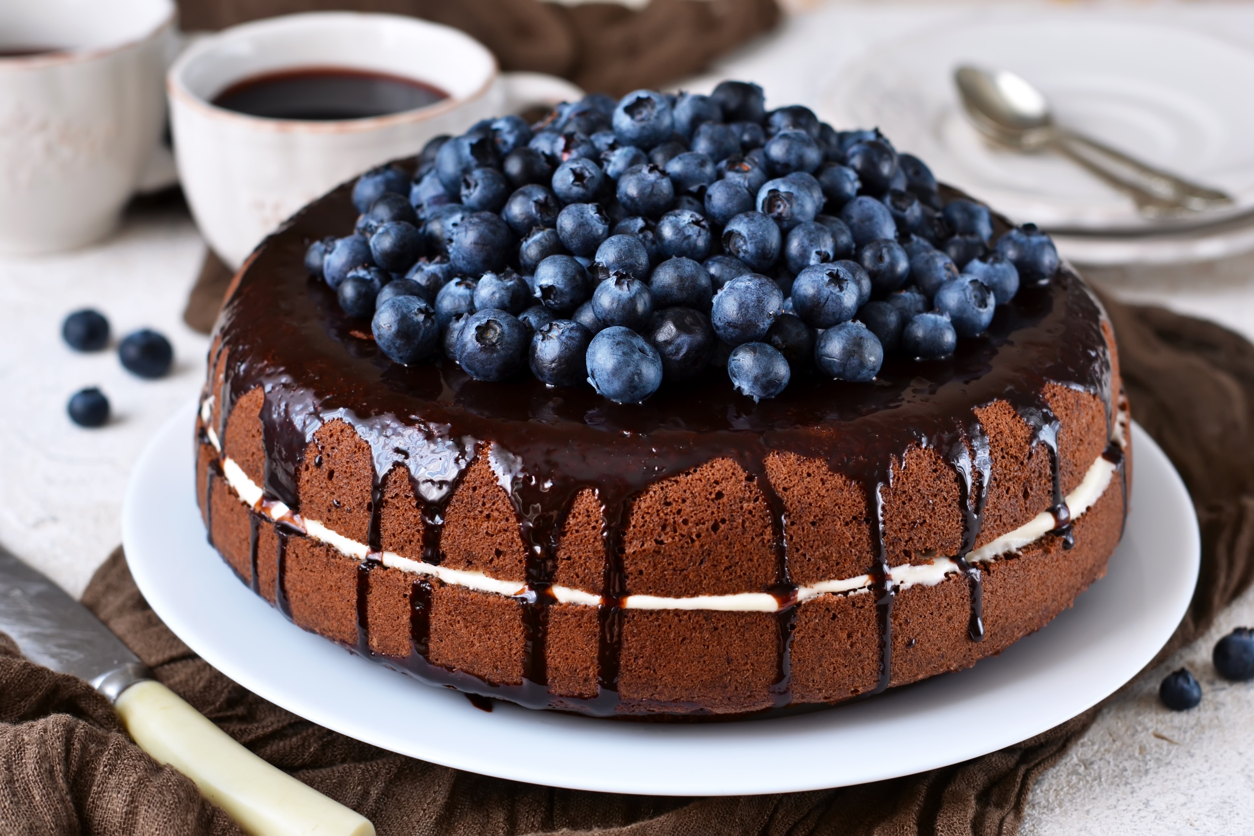 Chocolate cake. Шоколадный торт. Тортик с черникой. Торт с голубикой и шоколадом. Чернично шоколадный торт.