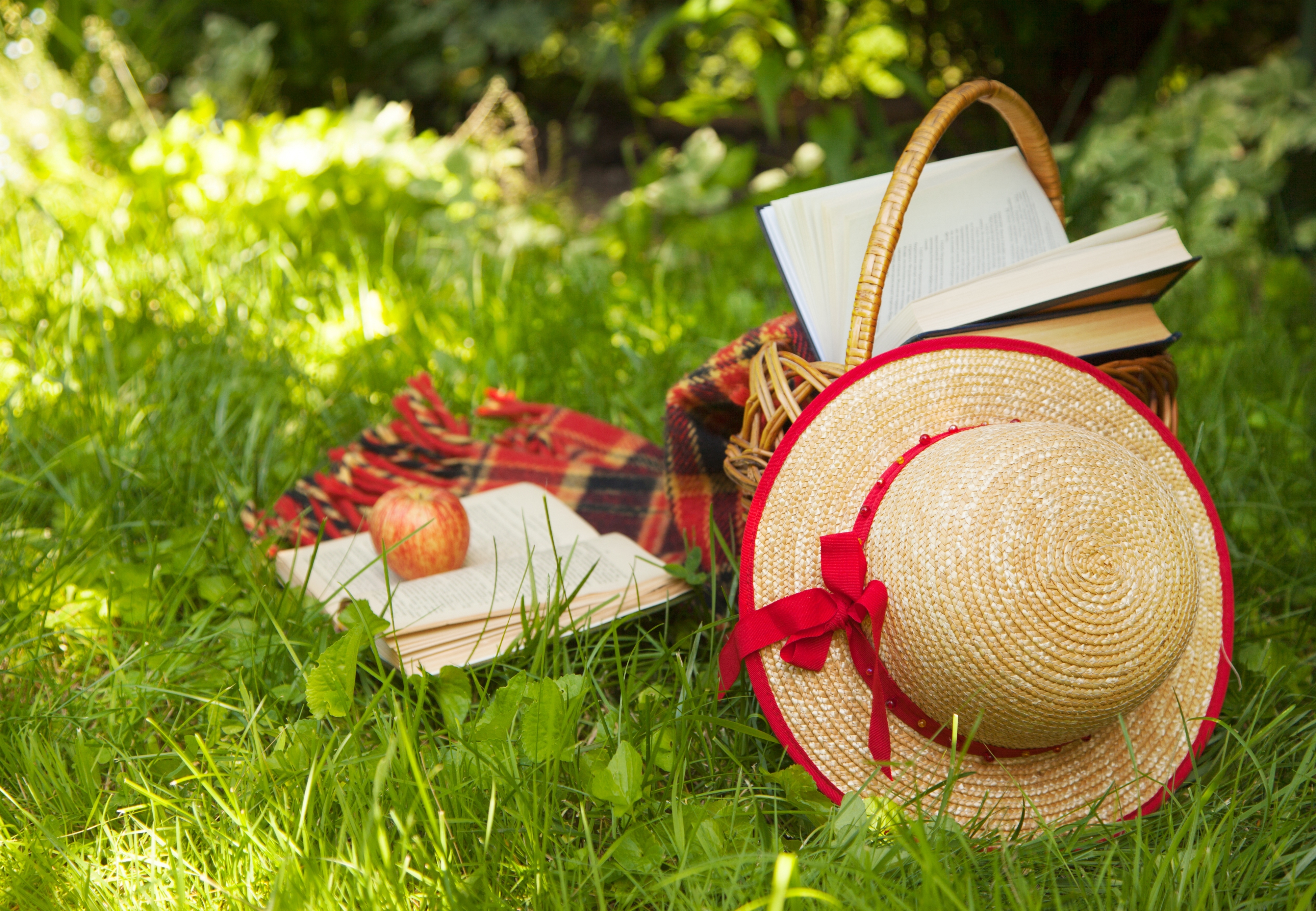 Шляпа растение. Летние атрибуты. Корзинка для пикника на природе. Лето с книгой. Летний пикник на природе.