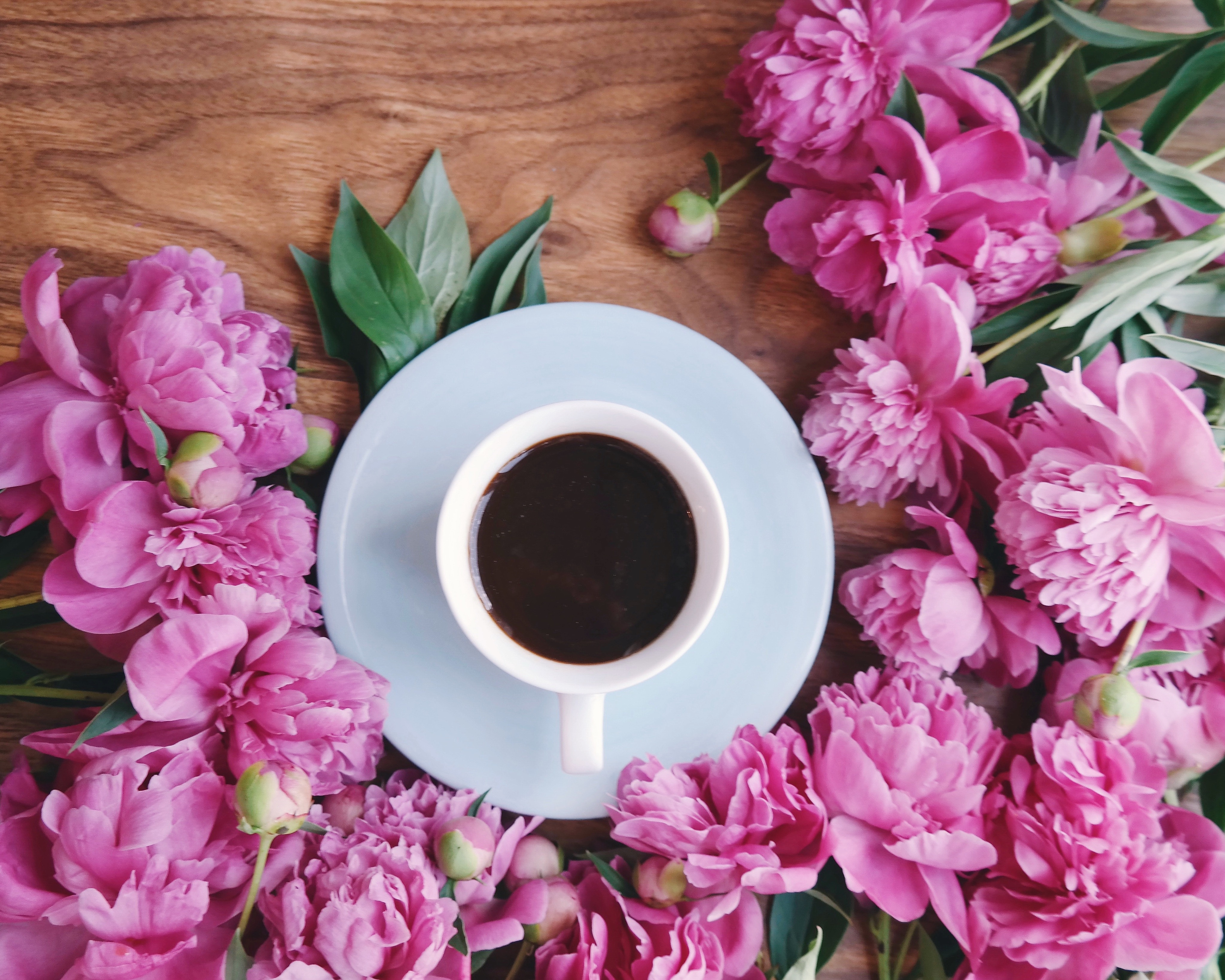 Cups flowers. Кофе и цветы. Завтрак с цветами. Пионы и кофе. Кофе с цветами.