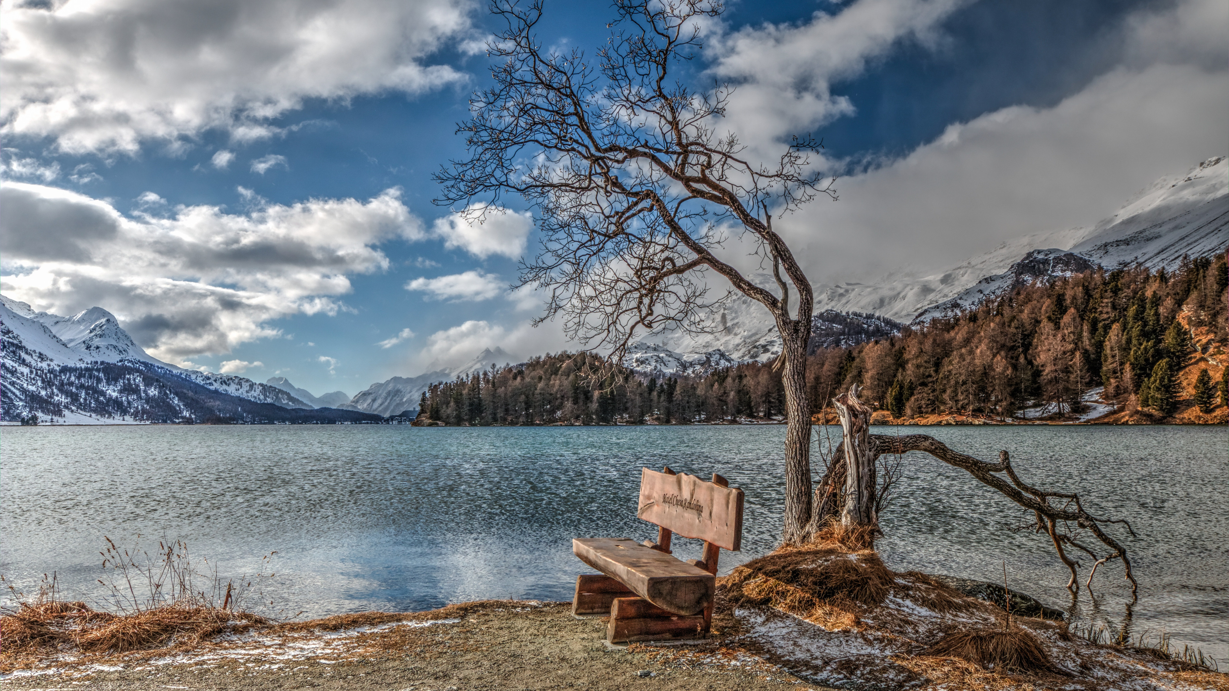nature, lake, bench
