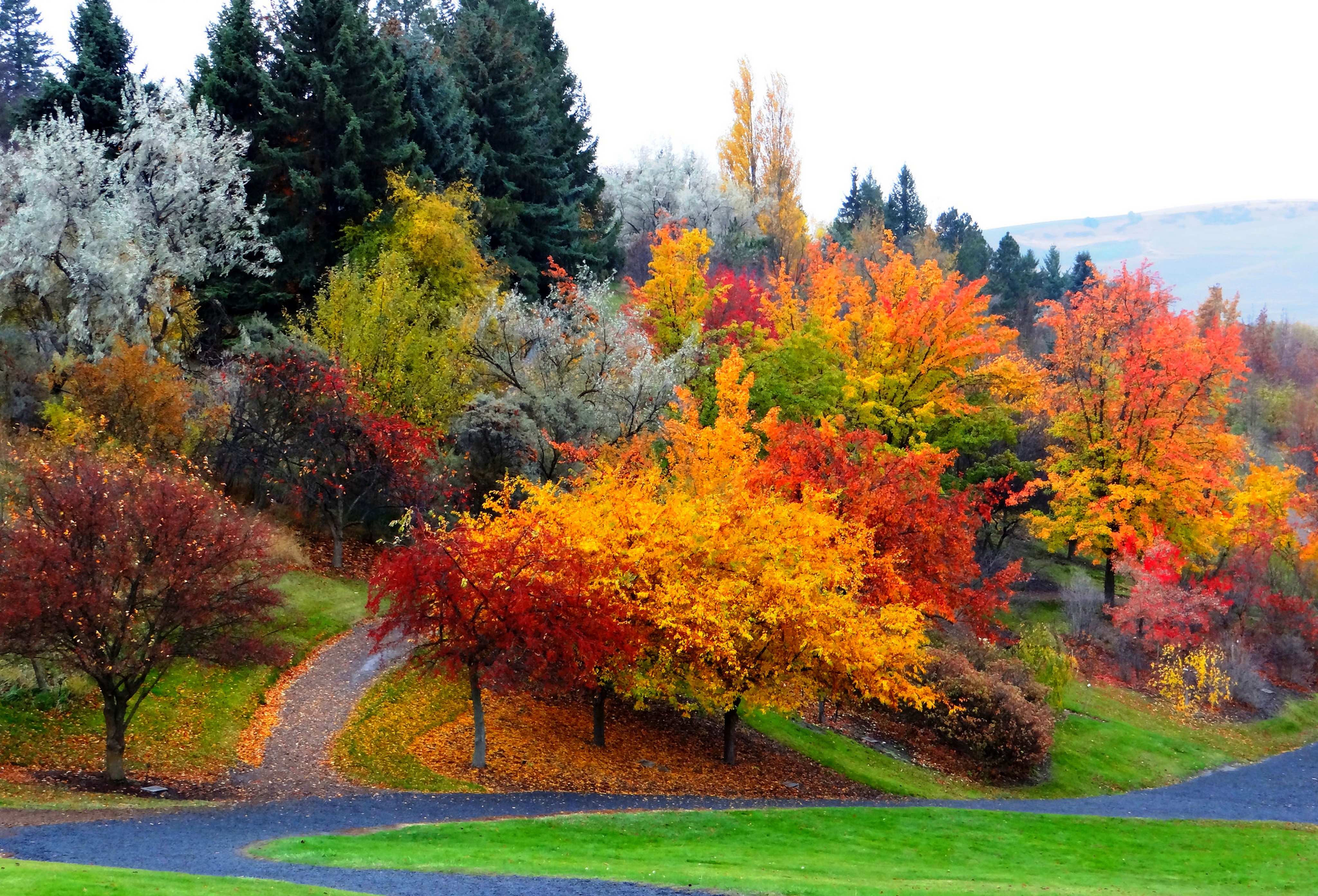 Куз мп3. Осень. Красивая осень. Природа осень. Разноцветная осень.