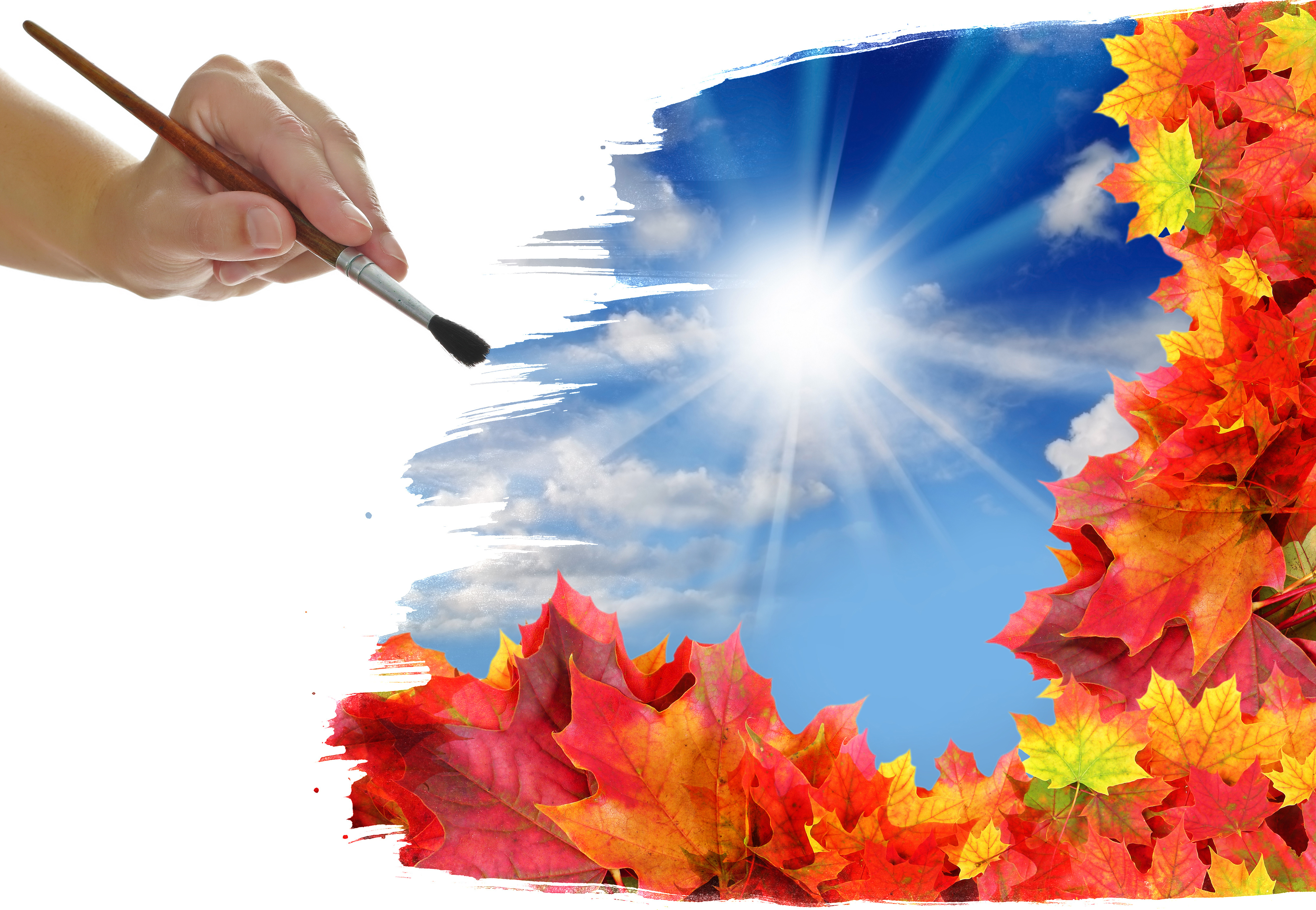Осень дарит вдохновение. Осенние краски. Художественный фон. Волшебные краски осени. Кисточка и краски осенние листья.