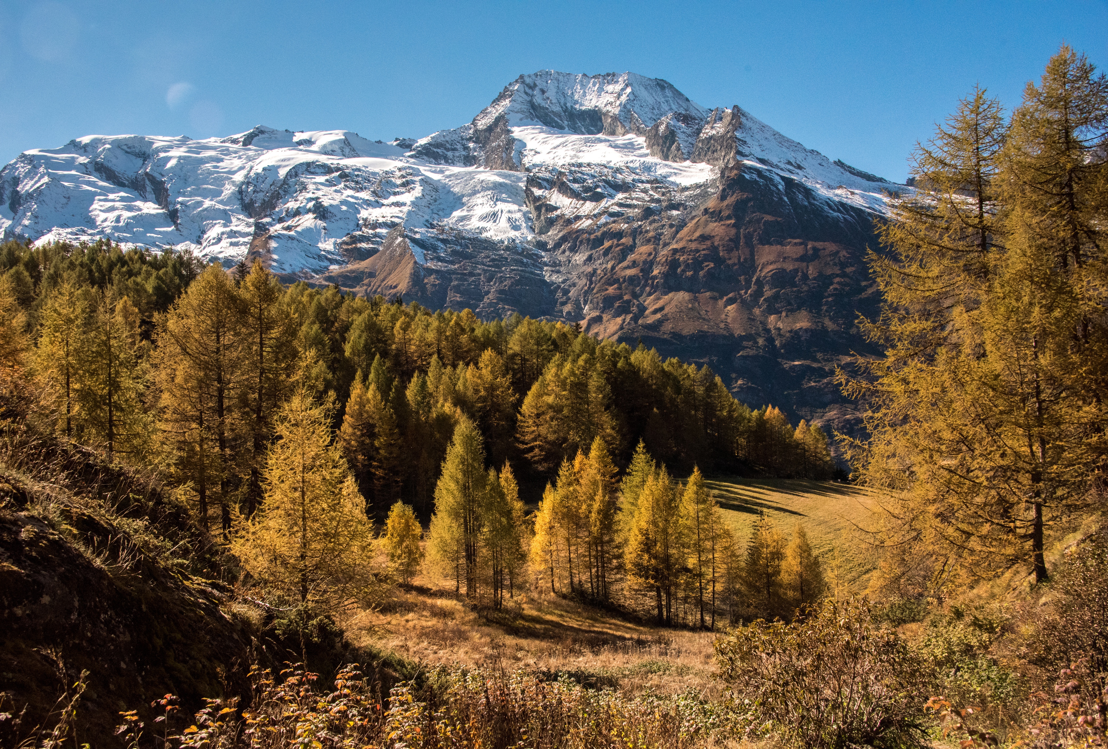 France les. Франция Пиренеи горные леса. Смешанные леса парк Пиренеи. Осень в горах. Горы осенью.