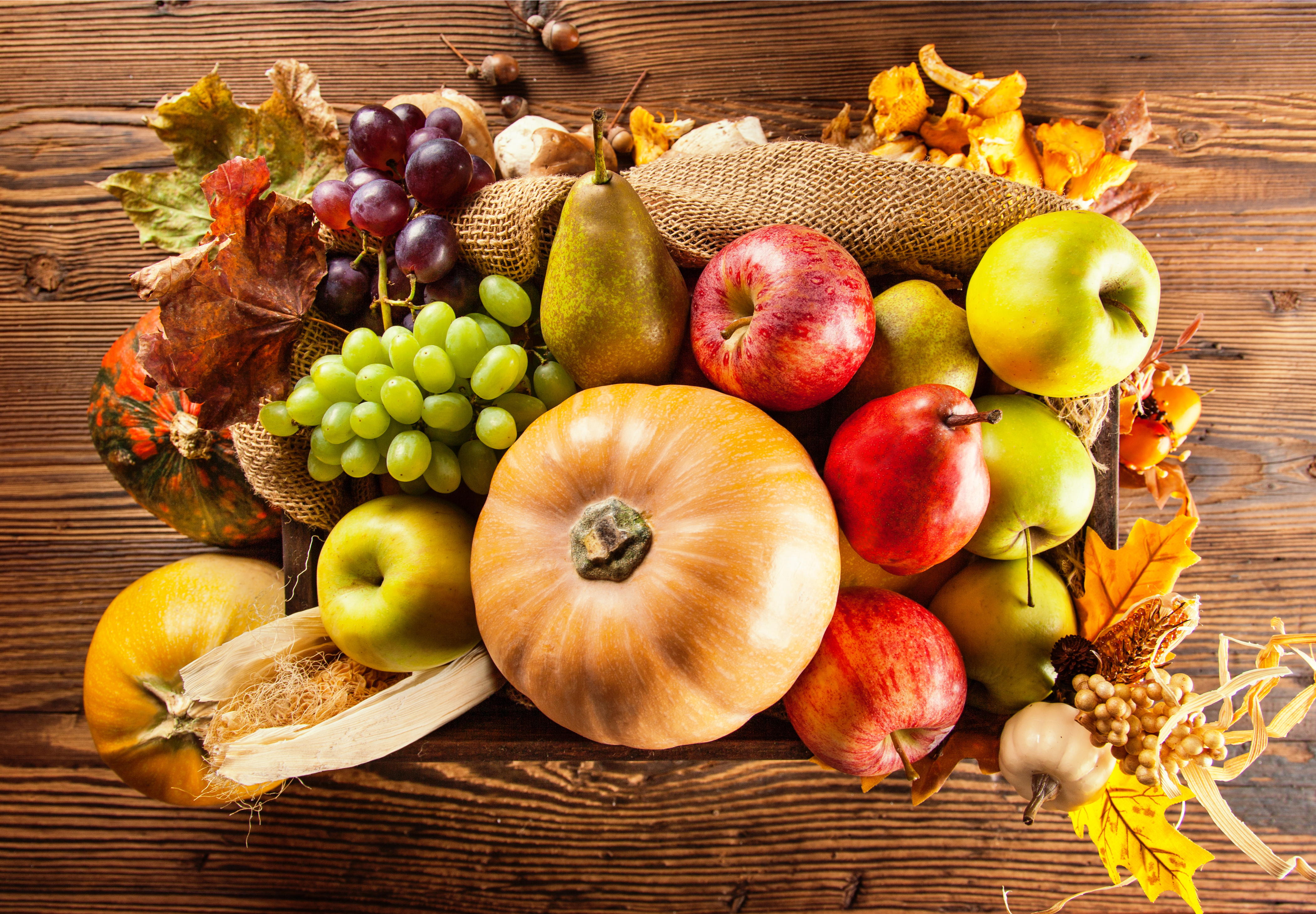 Урожай фруктов. Осенние овощи и фрукты. Осенние фрукты. Осенний урожай. Плоды осени.