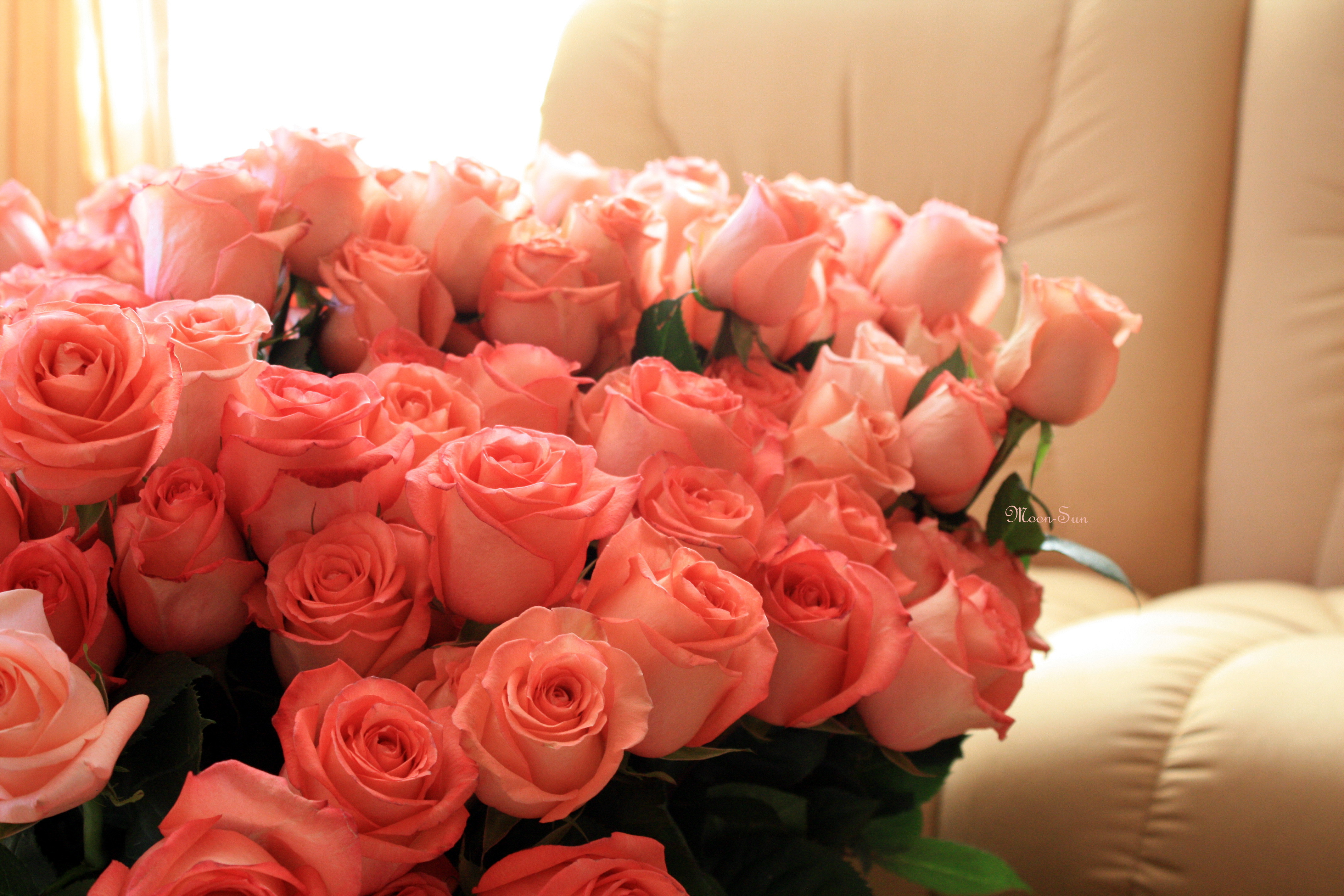 Большие розочки. Шикарные цветы. Шикарный букет цветов. Шикарный букет роз. Огромный букет цветов.